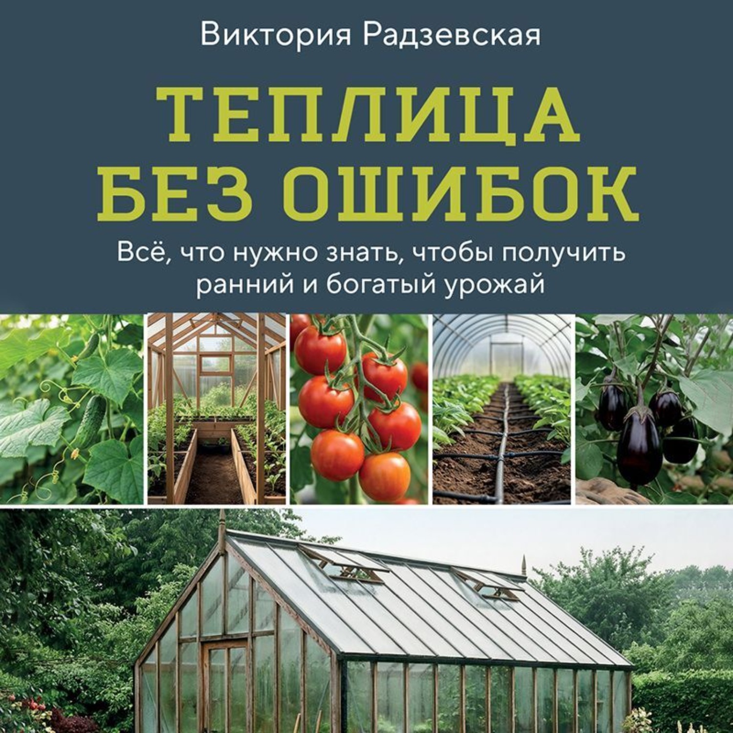 Обложка книги «Теплица без ошибок. Все, что нужно знать, чтобы получить ранний и богатый урожай»