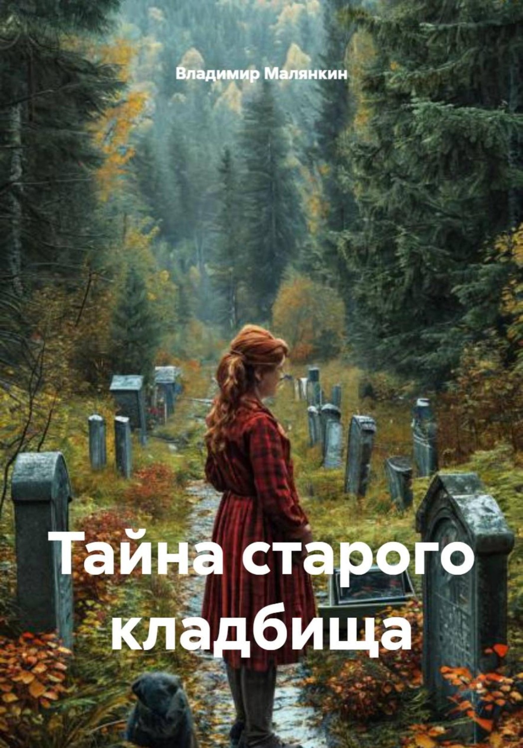 Обложка книги «Тайна старого кладбища»
