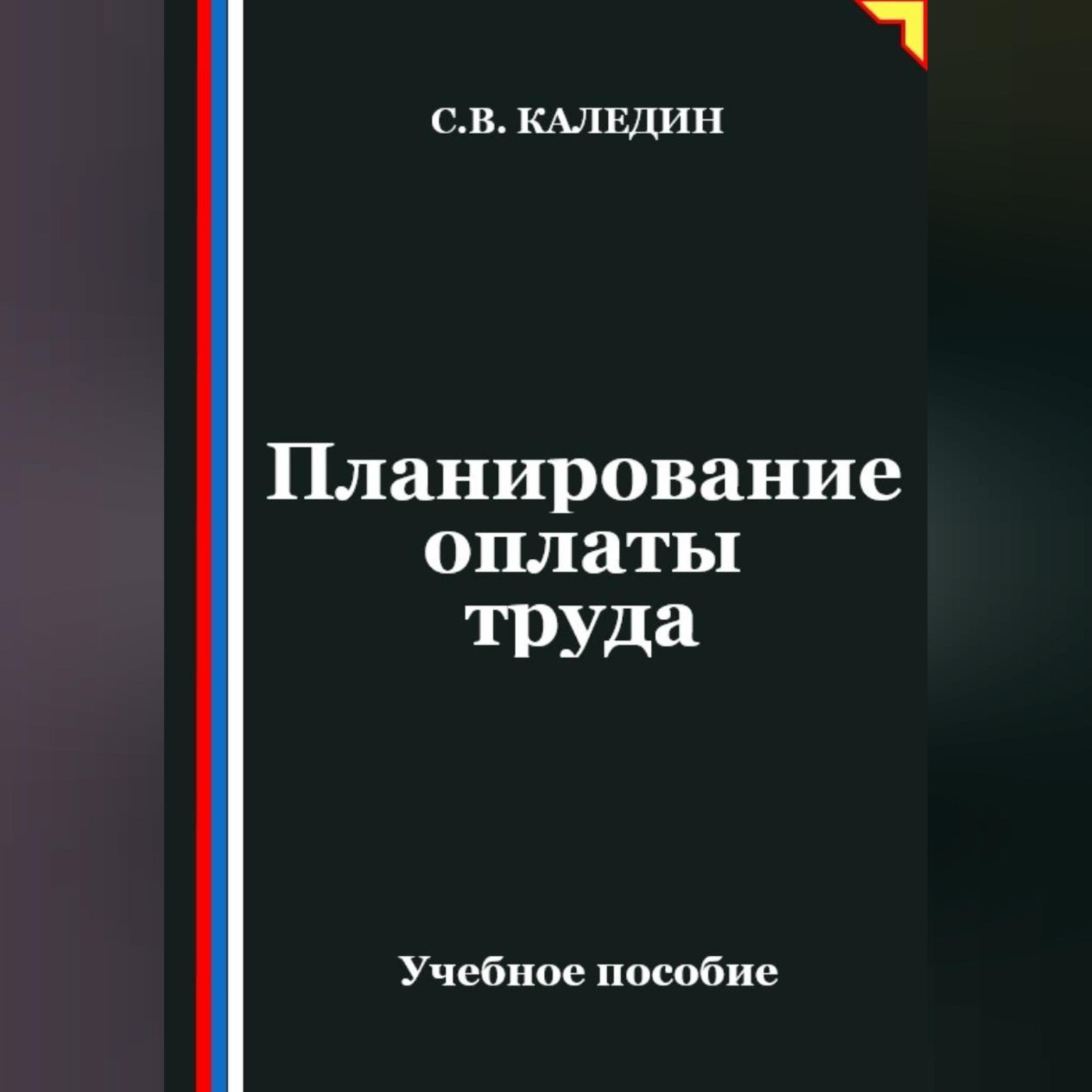 Обложка книги «Планирование оплаты труда»