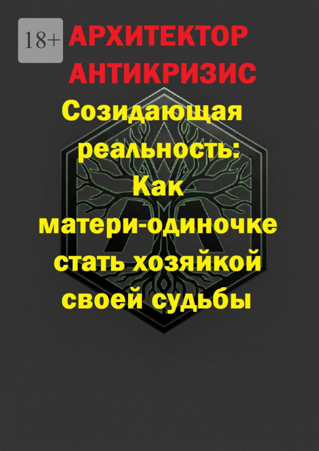 Обложка книги «Созидающая реальность: Как матери-одиночке стать хозяйкой своей судьбы»