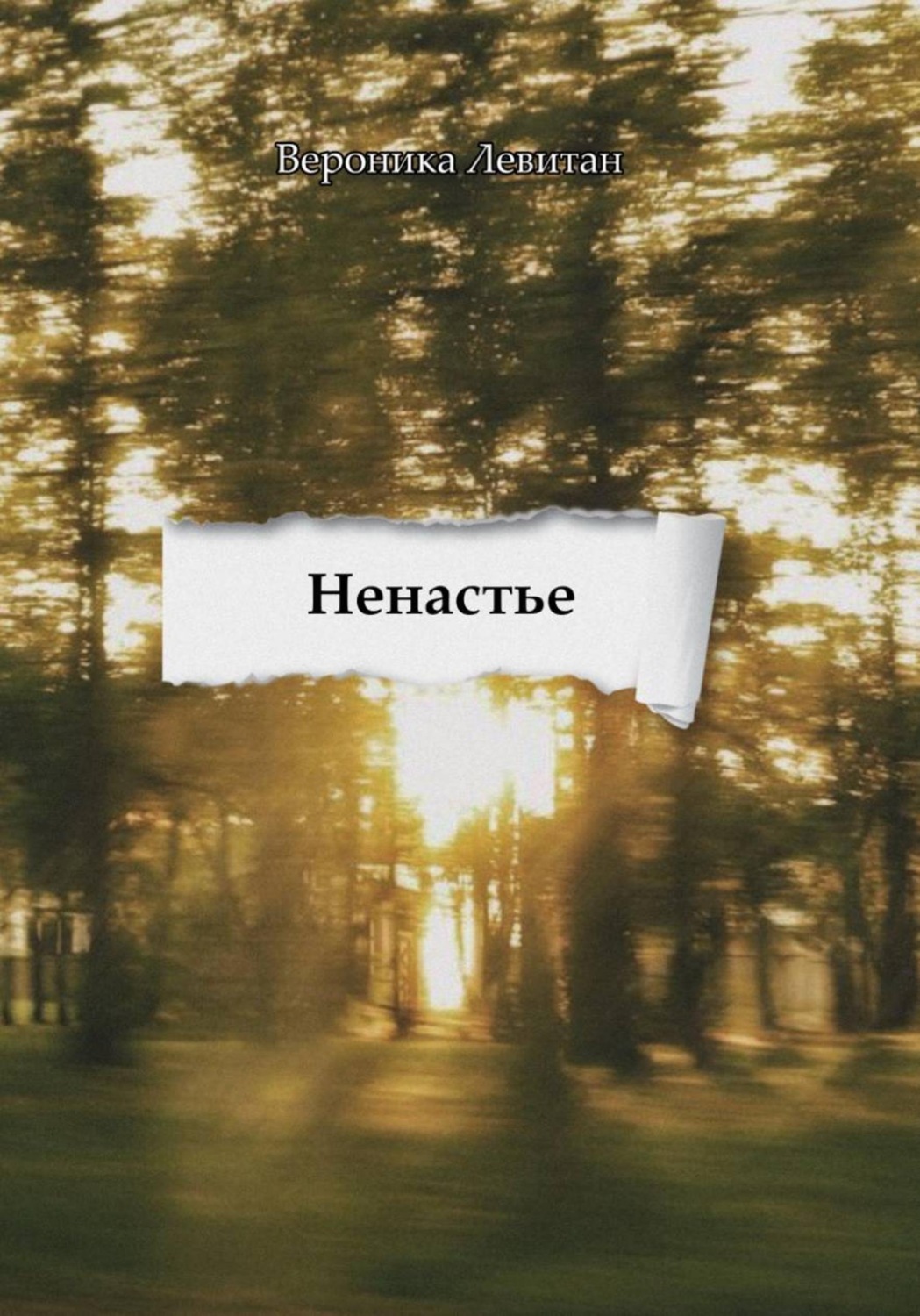 Обложка книги «Ненастье»