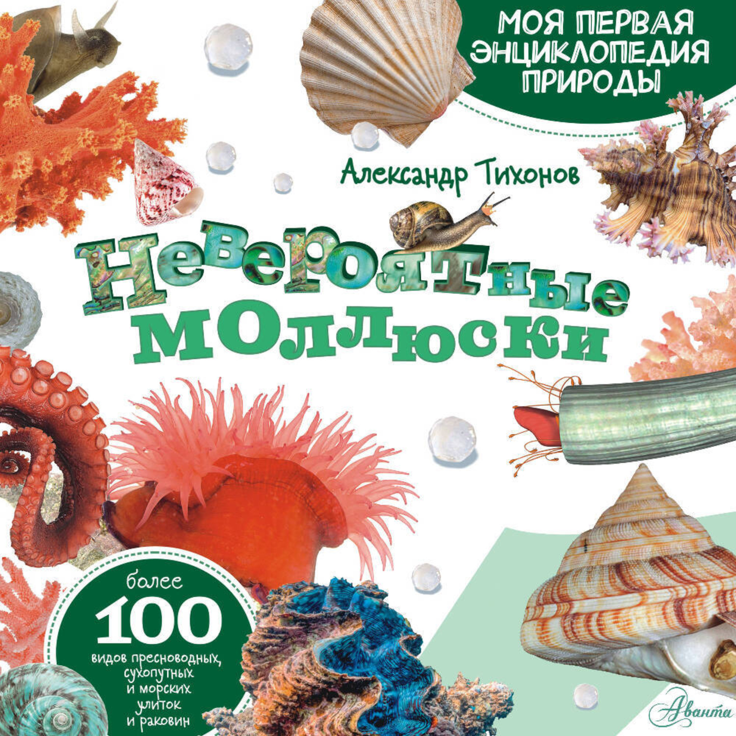 Обложка книги «Невероятные моллюски»