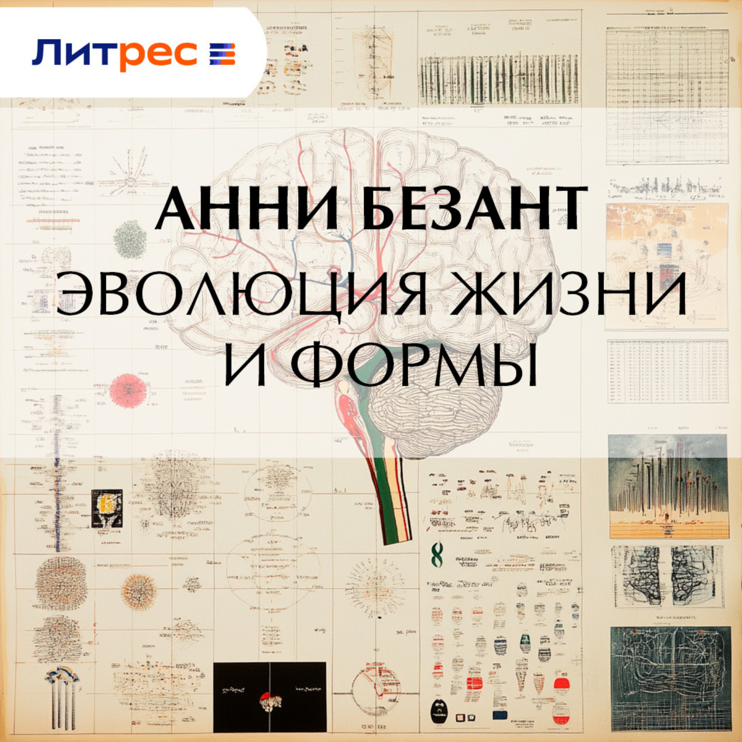 Обложка книги «Эволюция жизни и формы»