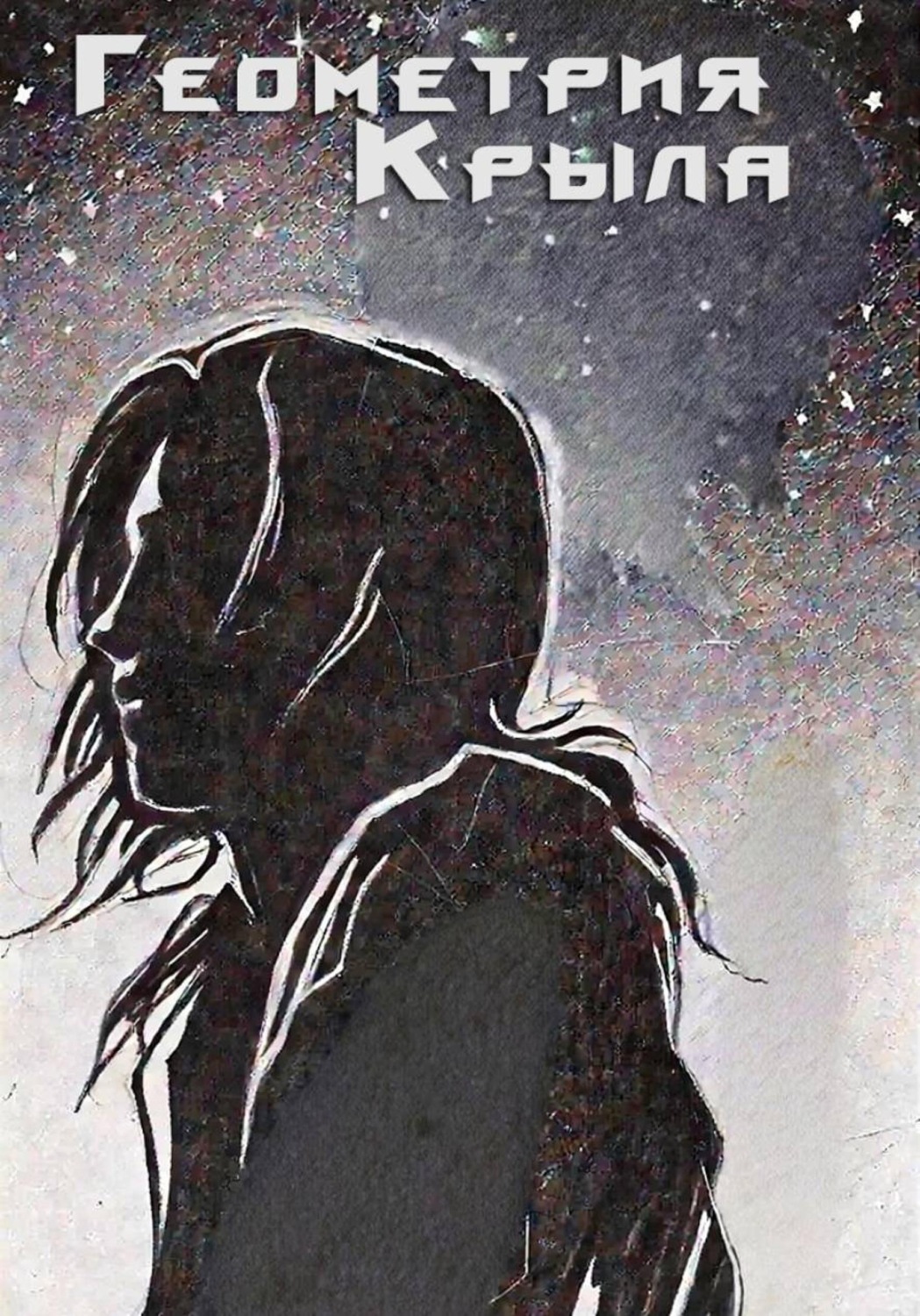 Обложка книги «Геометрия крыла»