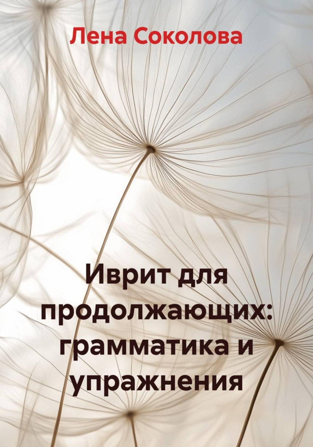 Обложка книги «Иврит для продолжающих: грамматика и упражнения»