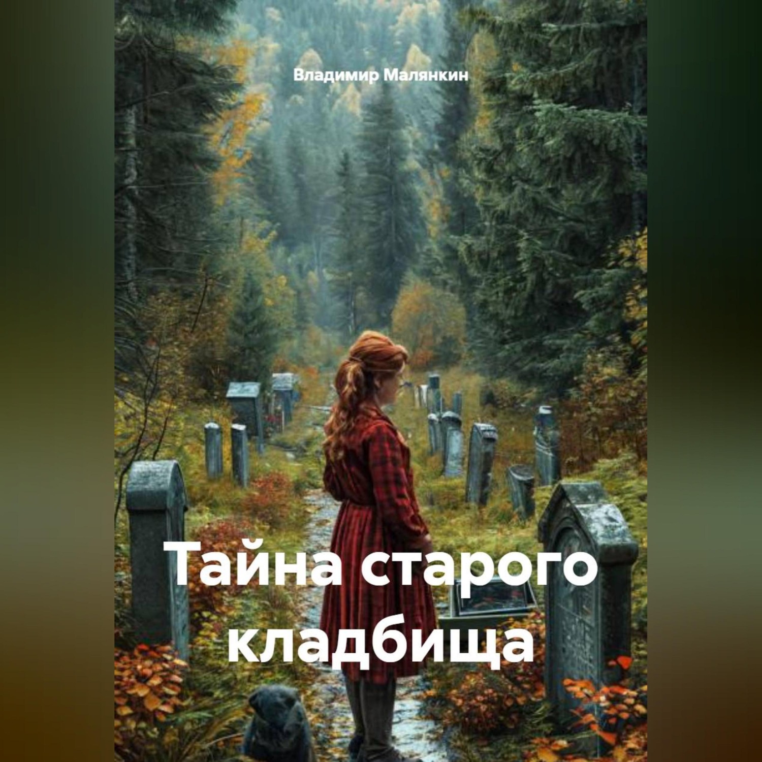Обложка книги «Тайна старого кладбища»