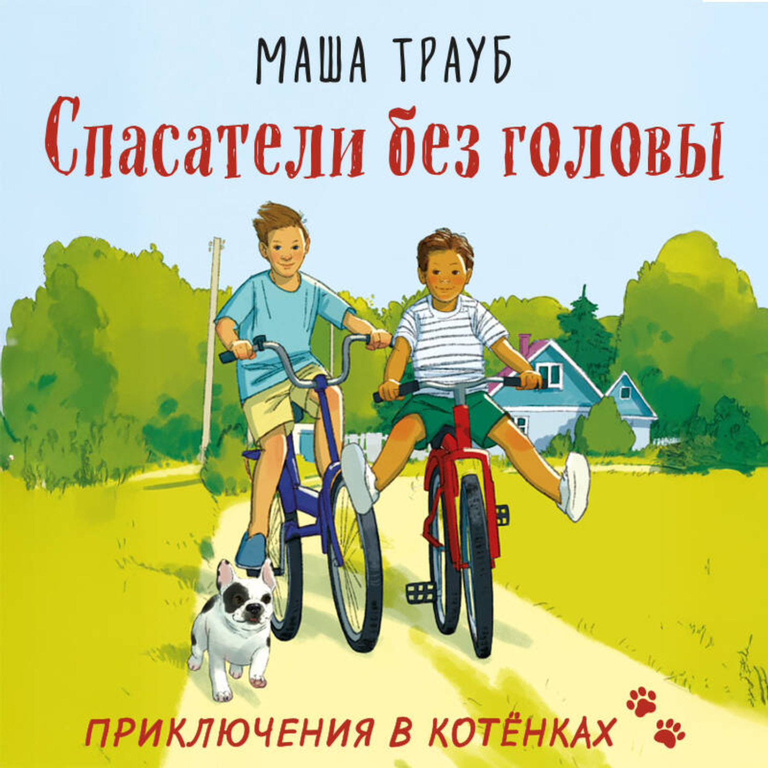 Обложка книги «Спасатели без головы»