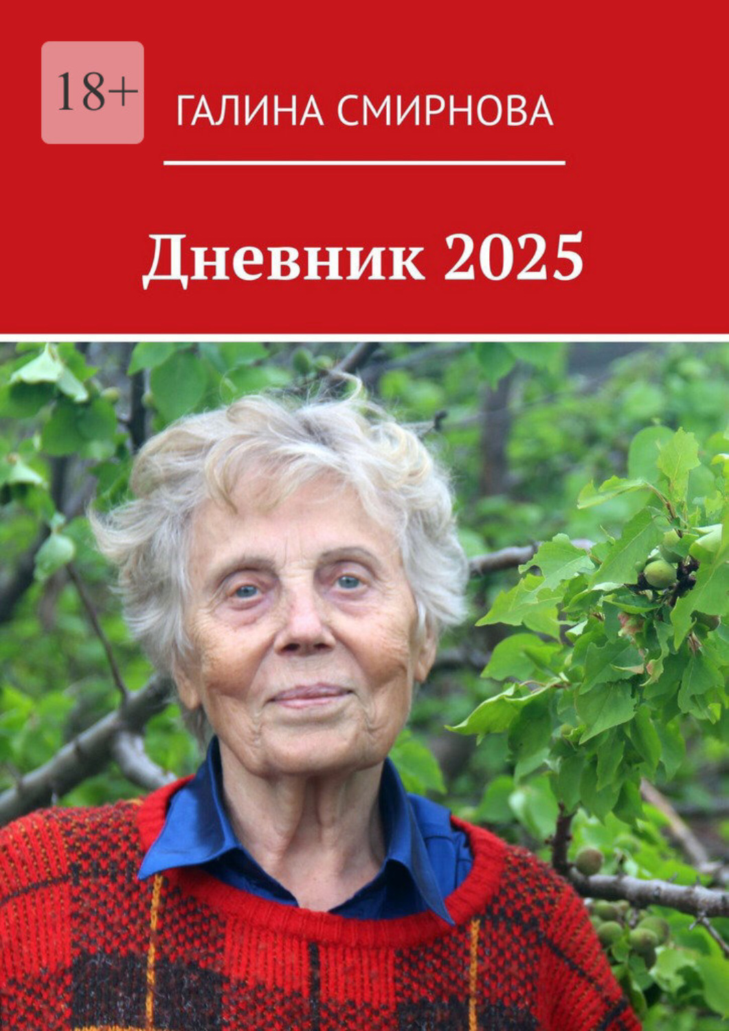 Обложка книги «Дневник 2025»