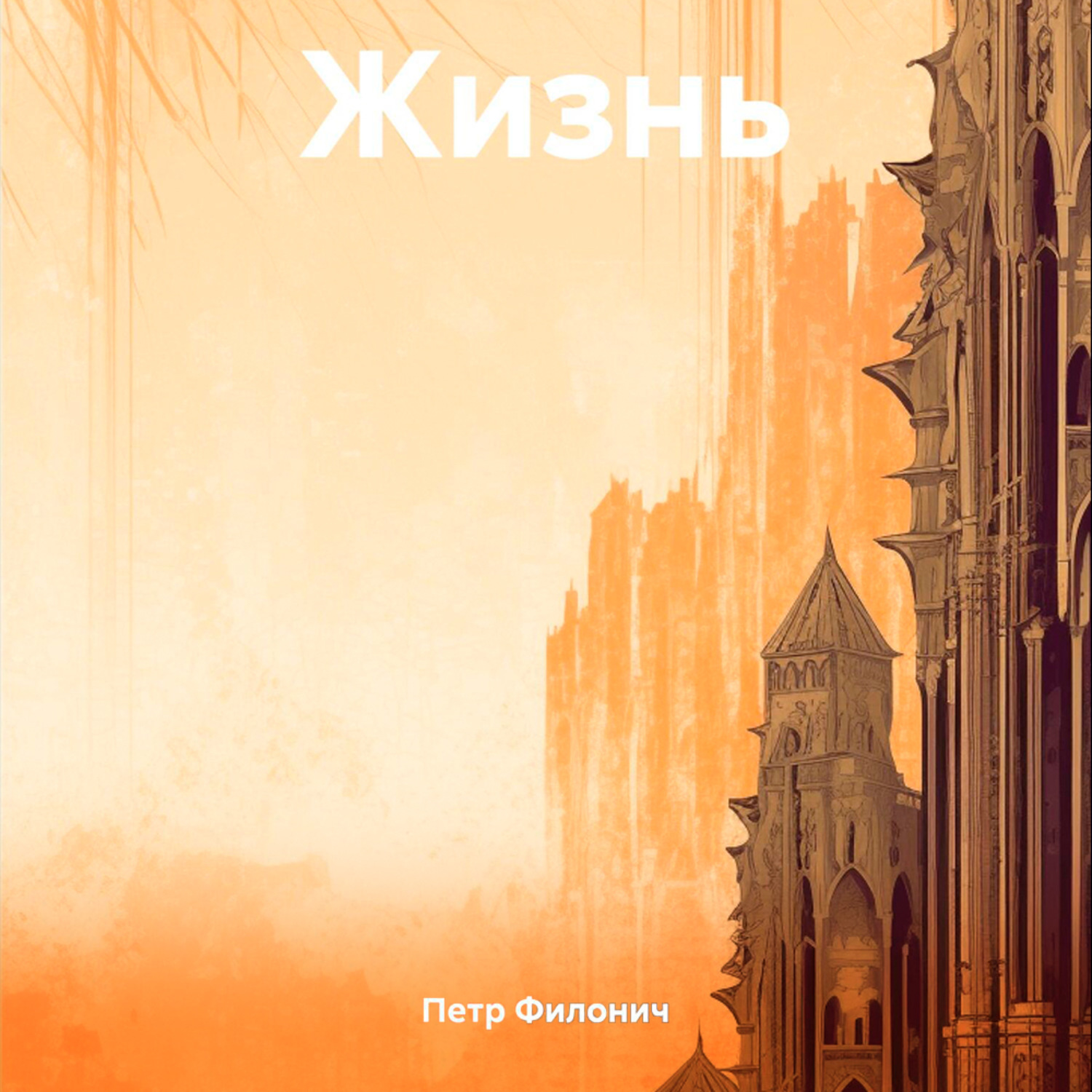 Обложка книги «Жизнь»