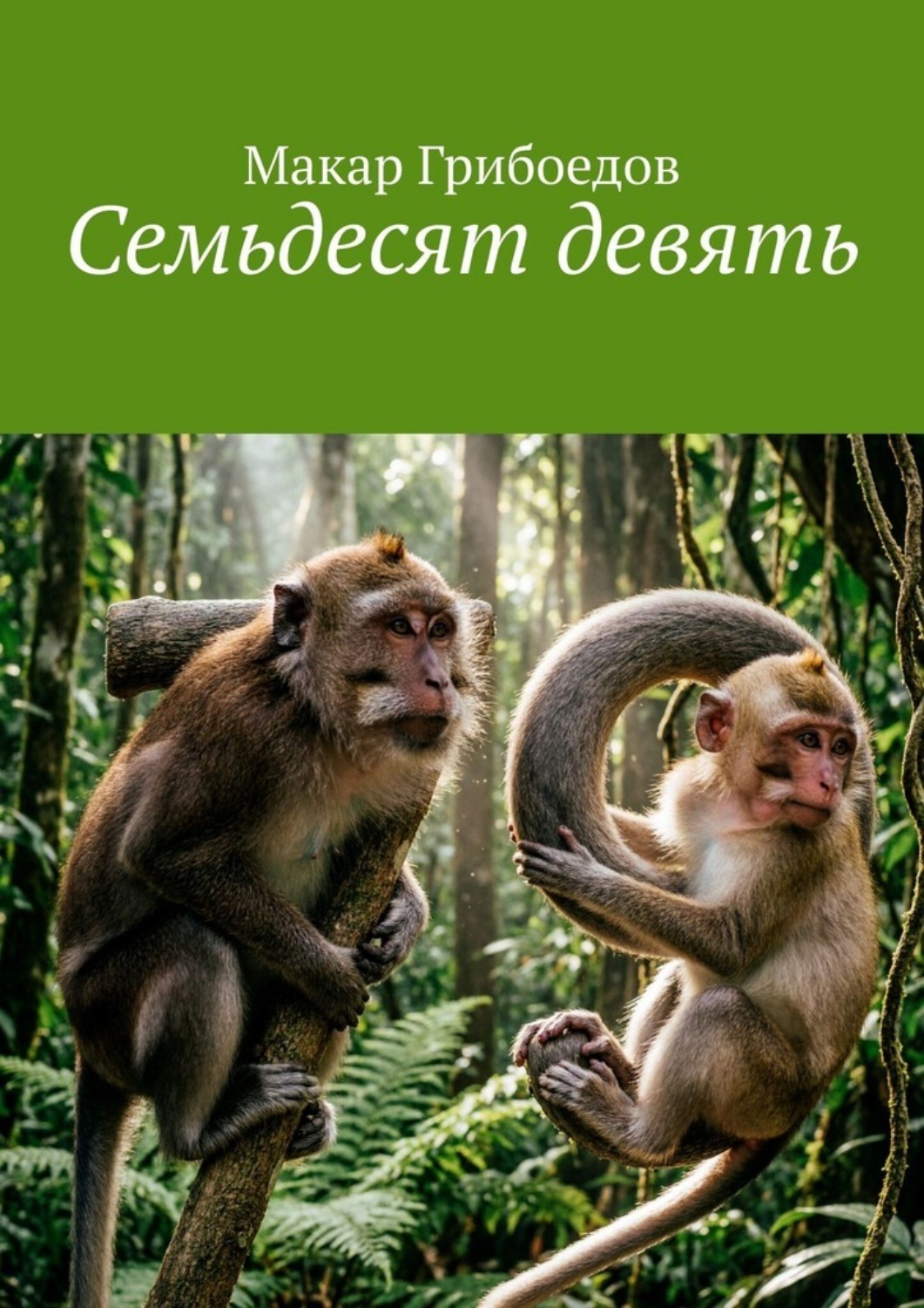 Обложка книги «Семьдесят девять»