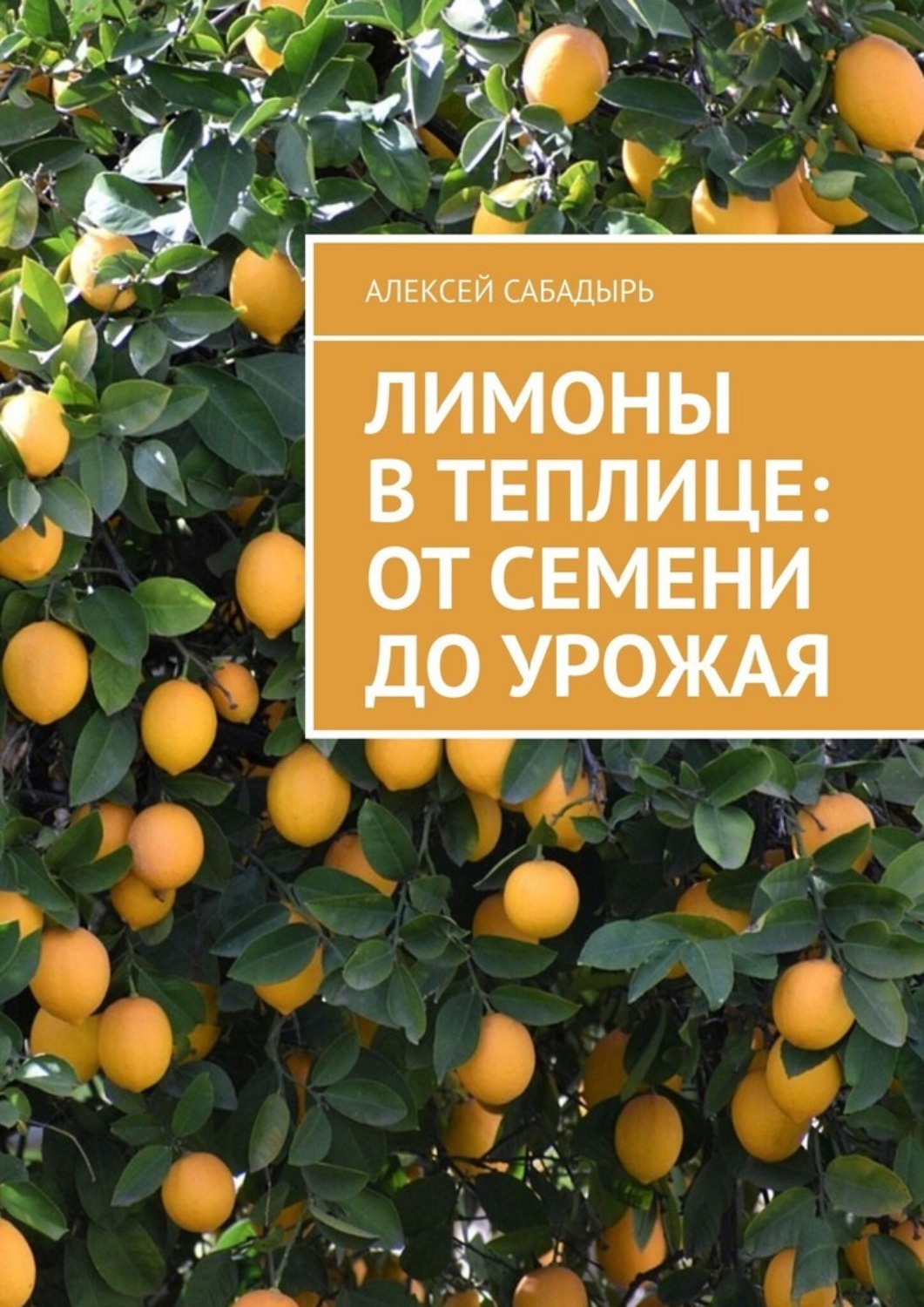 Обложка книги «Лимоны в теплице: от семени до урожая»