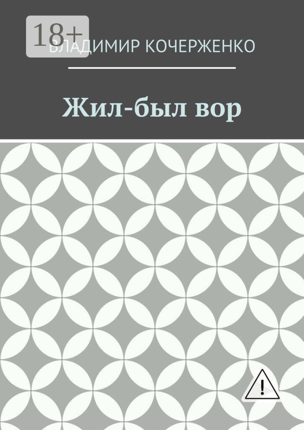 Обложка книги «Жил-был вор»