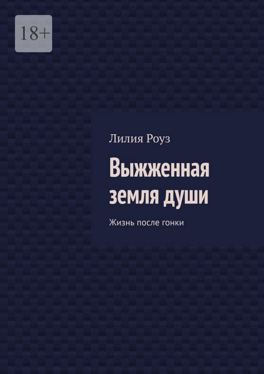 Обложка книги «Выжженная земля души. Жизнь после гонки»