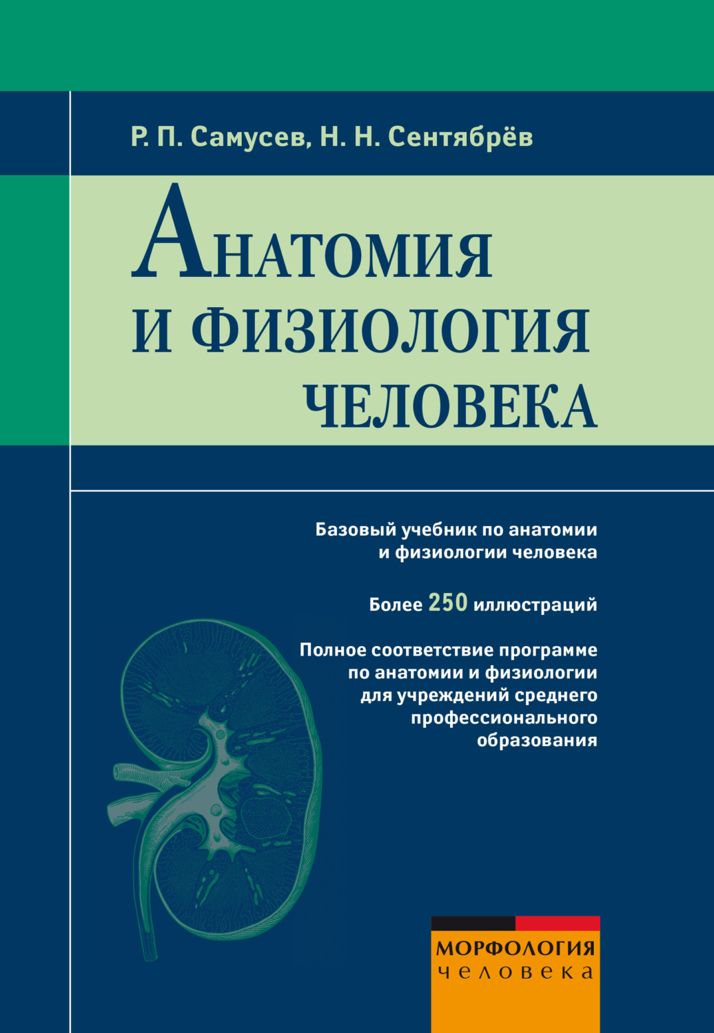 Обложка книги «Анатомия и физиология человека»