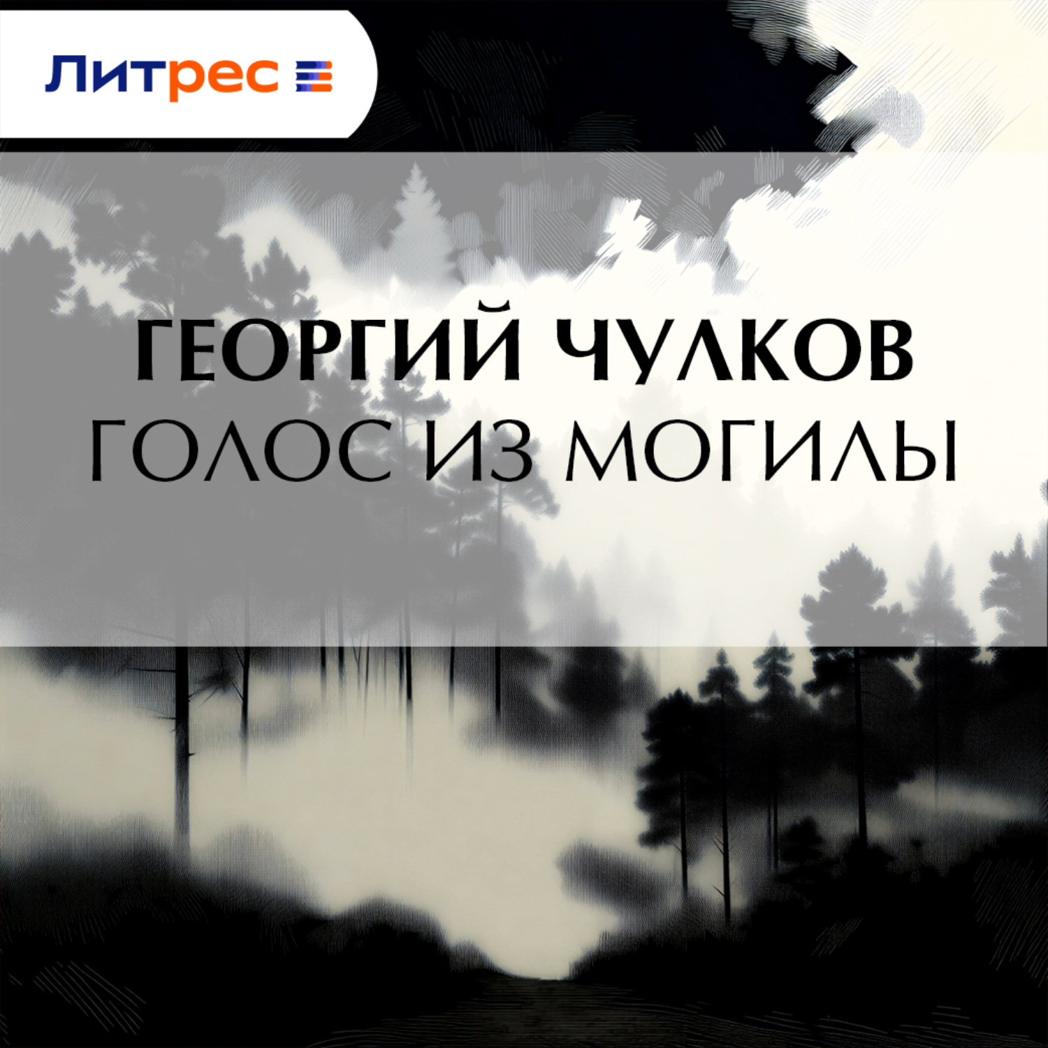 Обложка книги «Голос из могилы»