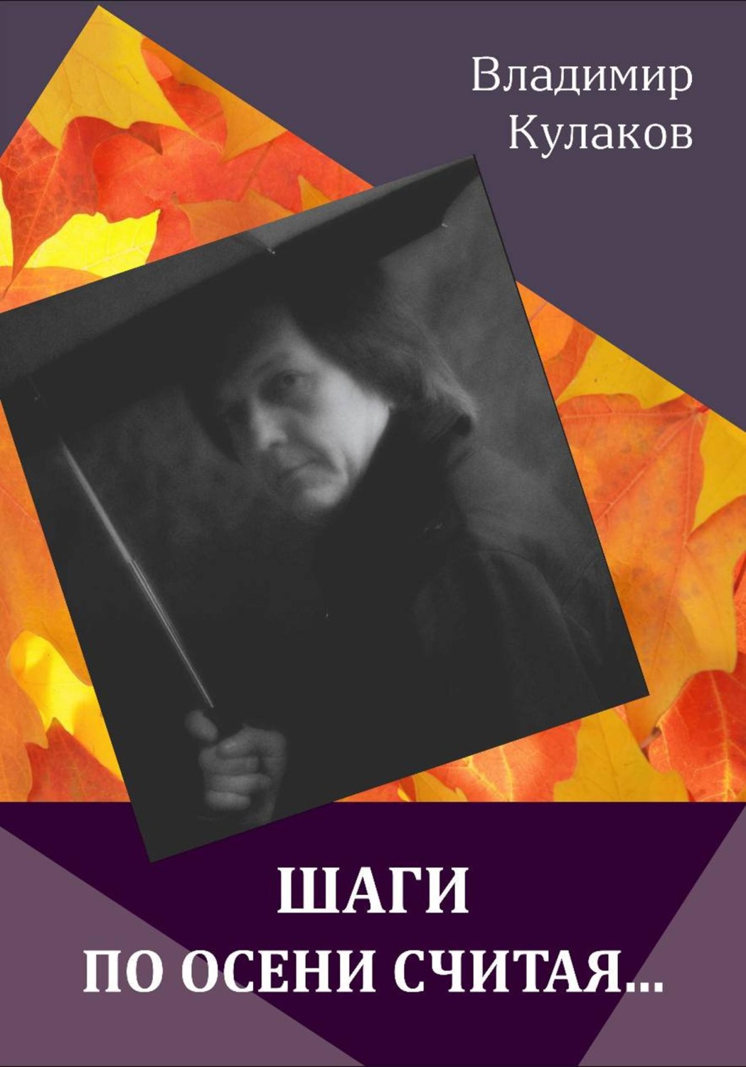 Обложка книги «Шаги по осени считая…»