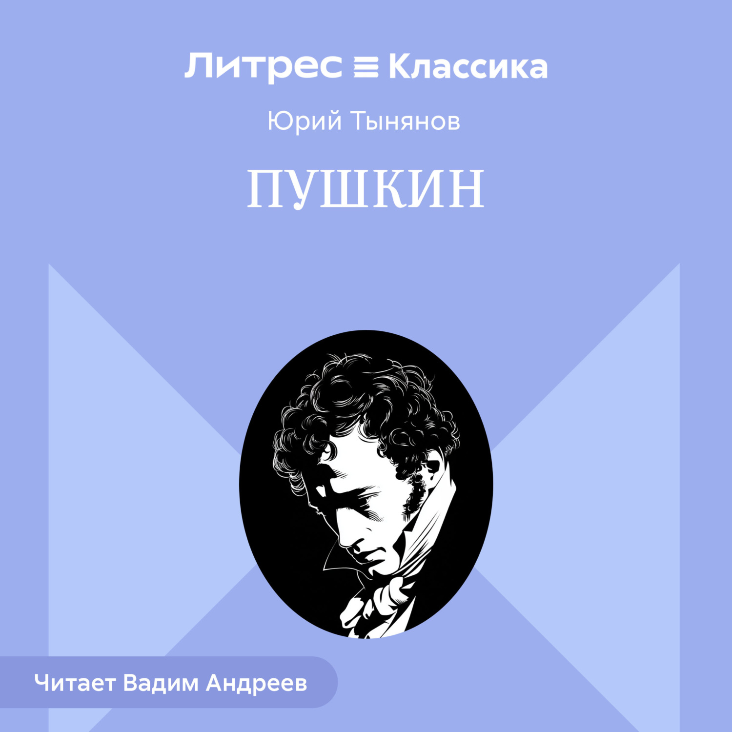 Обложка книги «Пушкин»