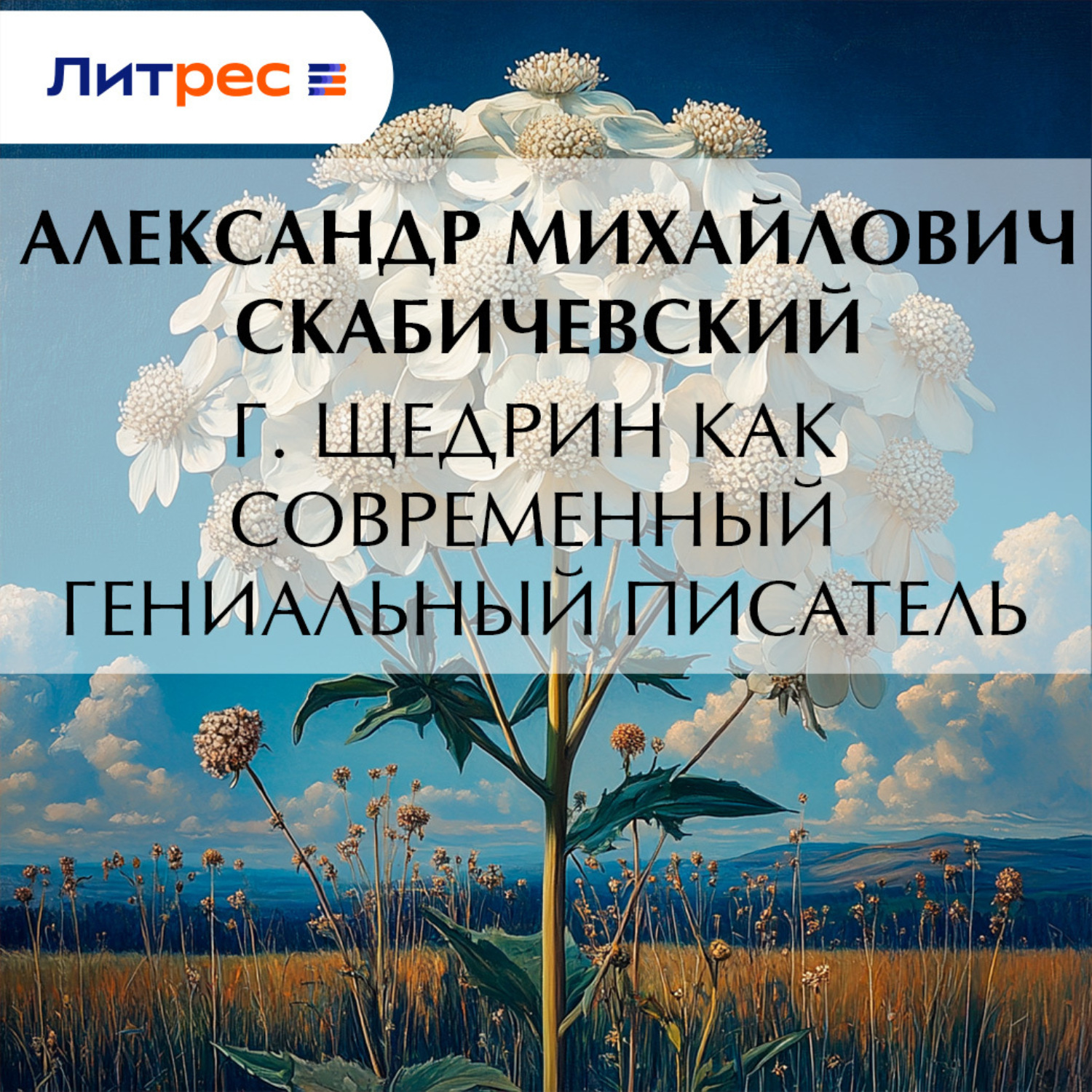 Обложка книги «Г. Щедрин как современный гениальный писатель»