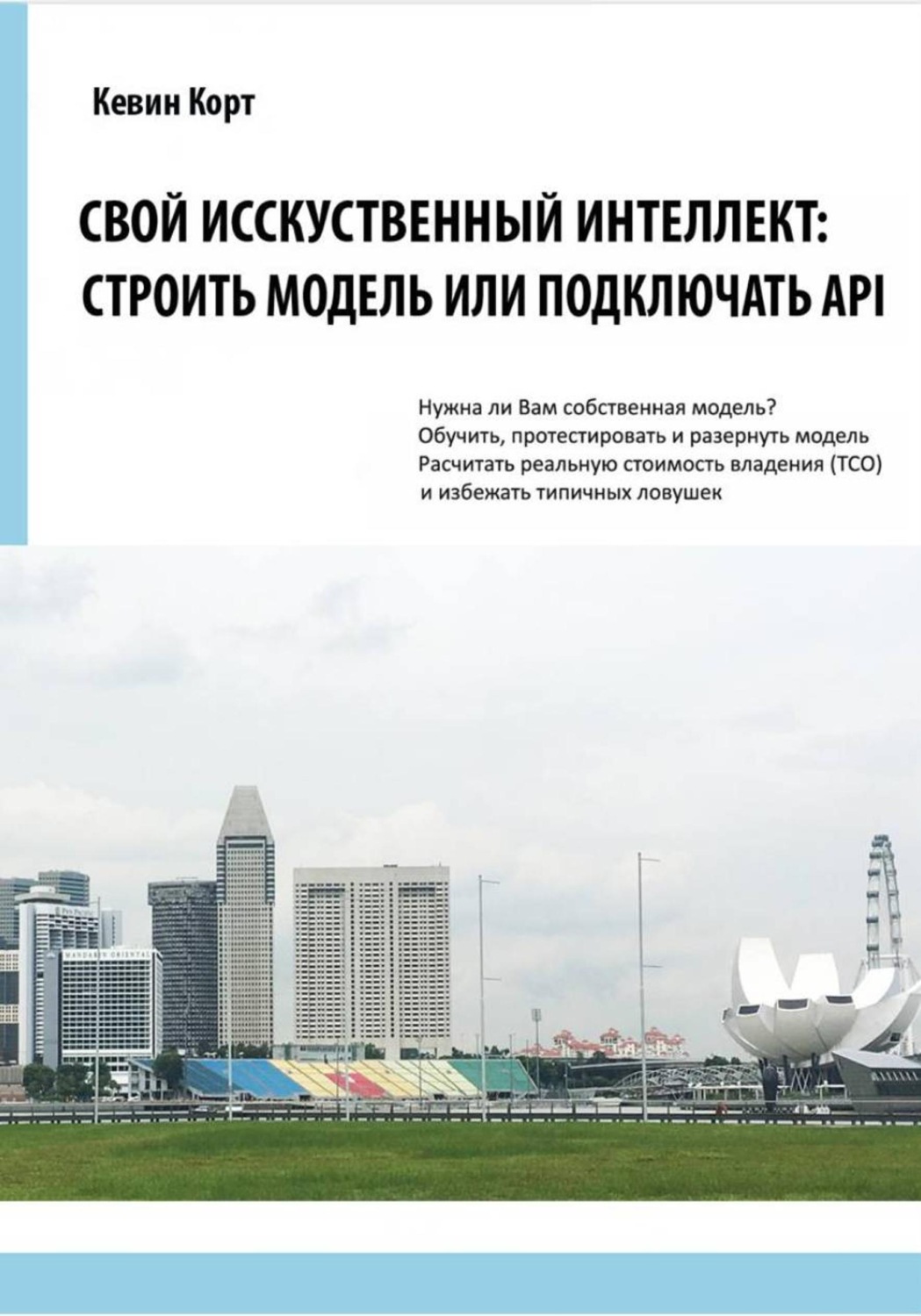 Обложка книги «Свой Искусственный Интеллект: строить модель или подключать API»