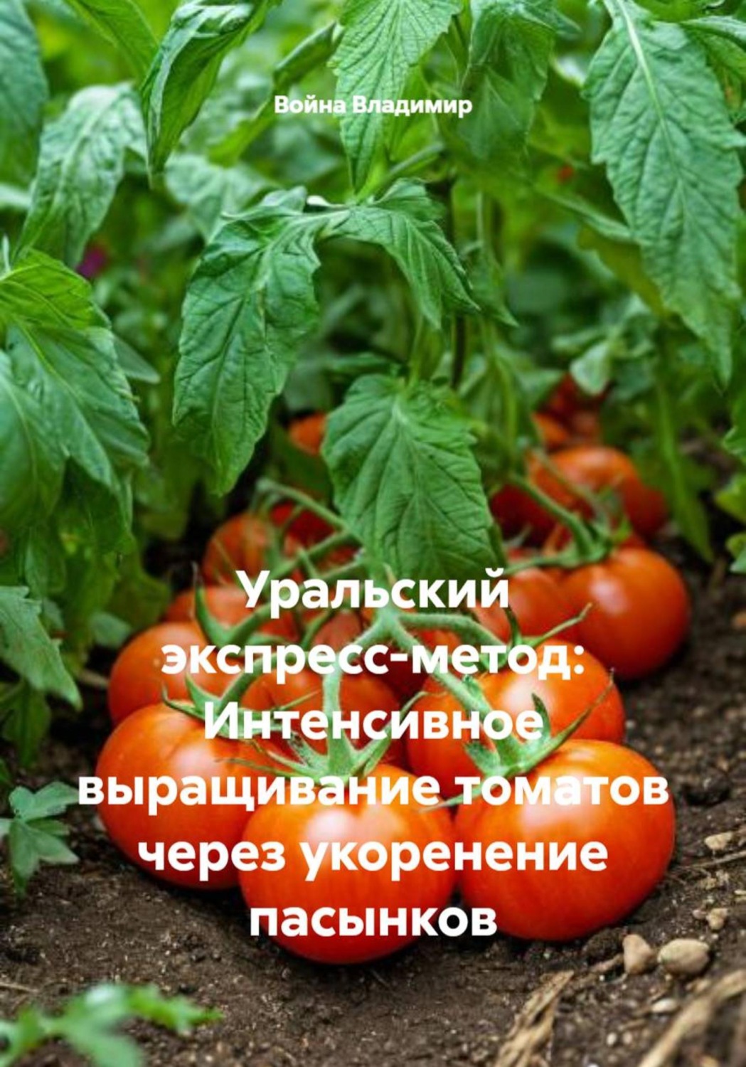 Обложка книги «Уральский экспресс-метод: Интенсивное выращивание томатов через укоренение пасынков»
