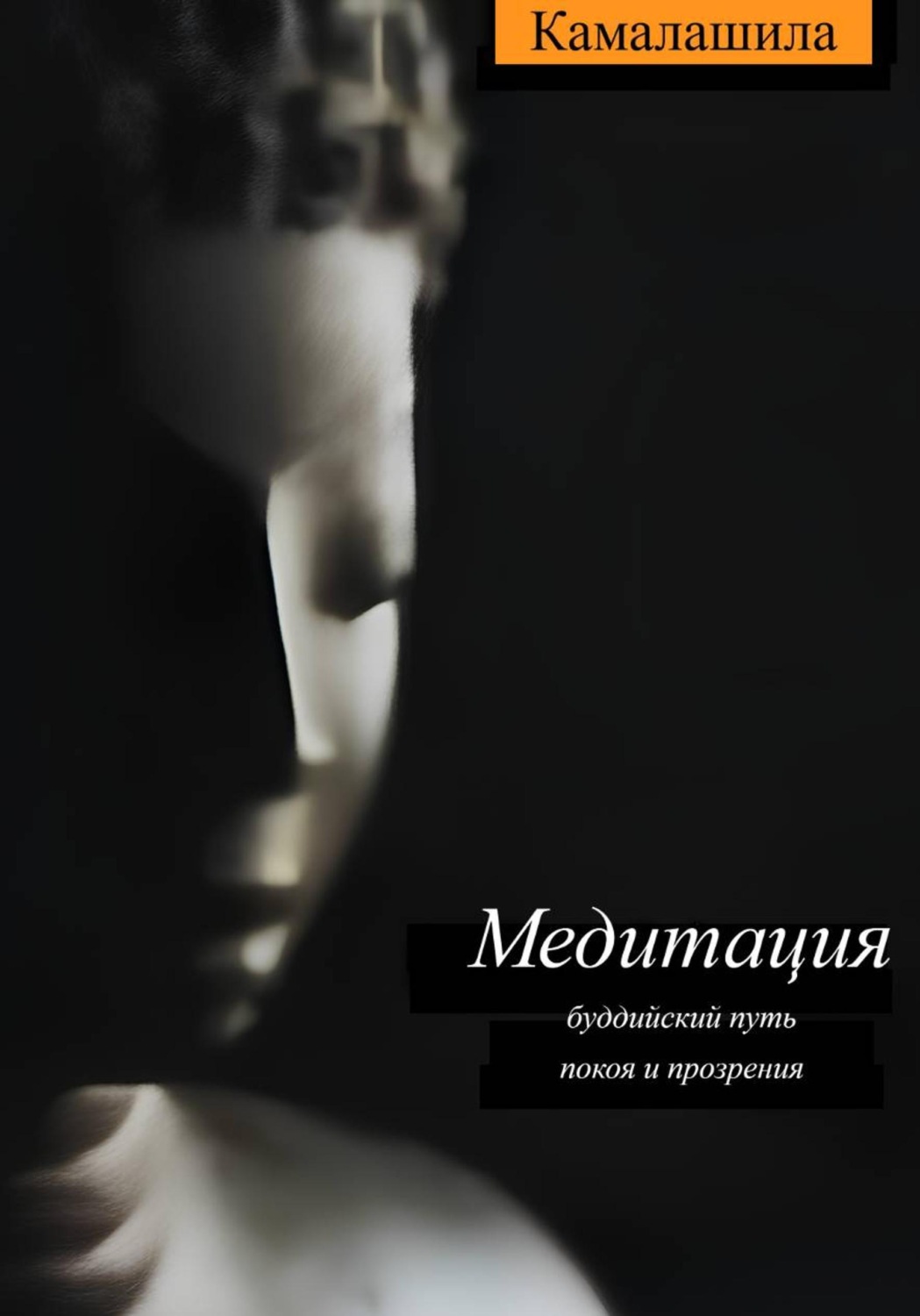 Обложка книги «Медитация: буддийский путь покоя и прозрения»