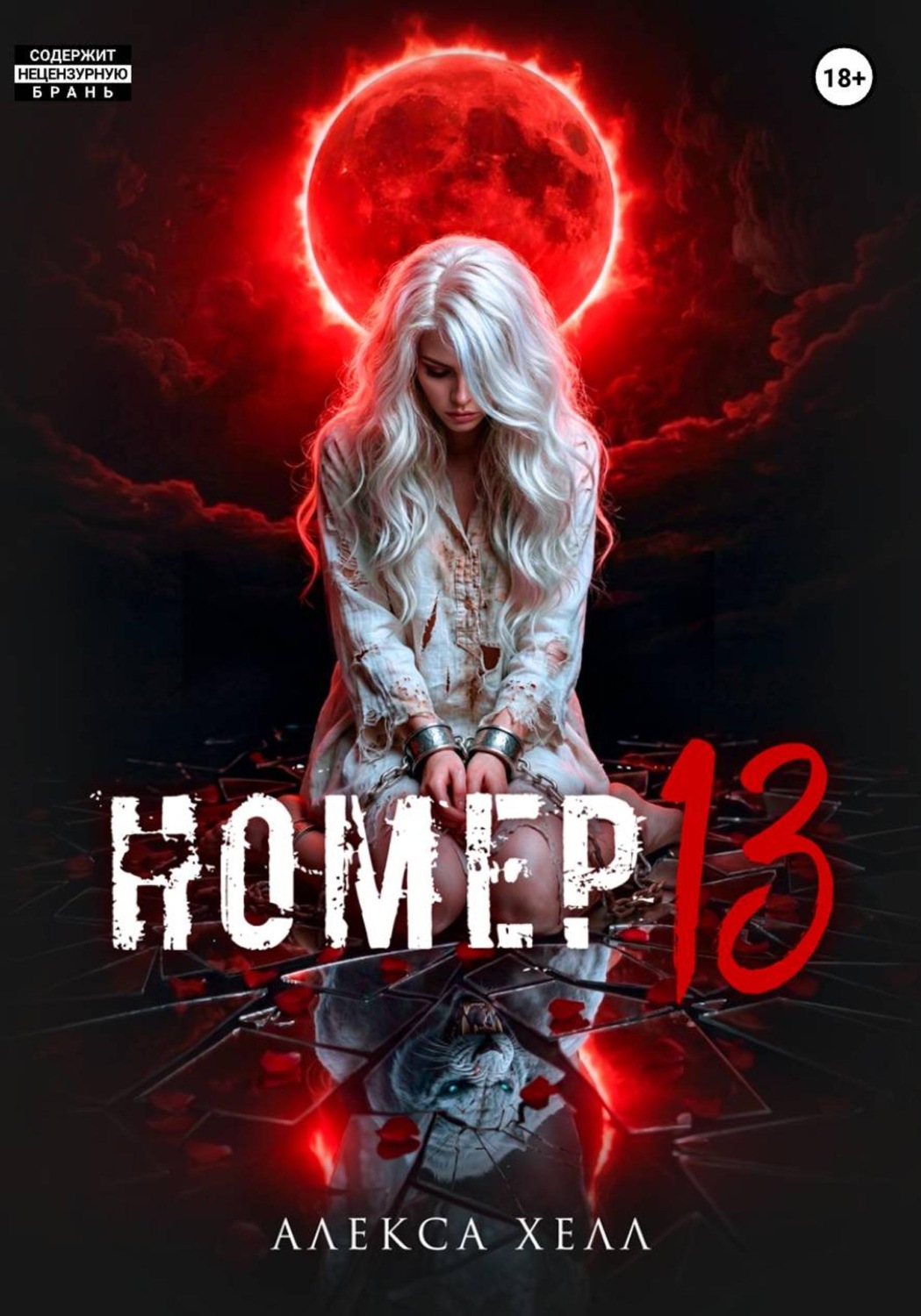 Обложка книги «Номер 13»