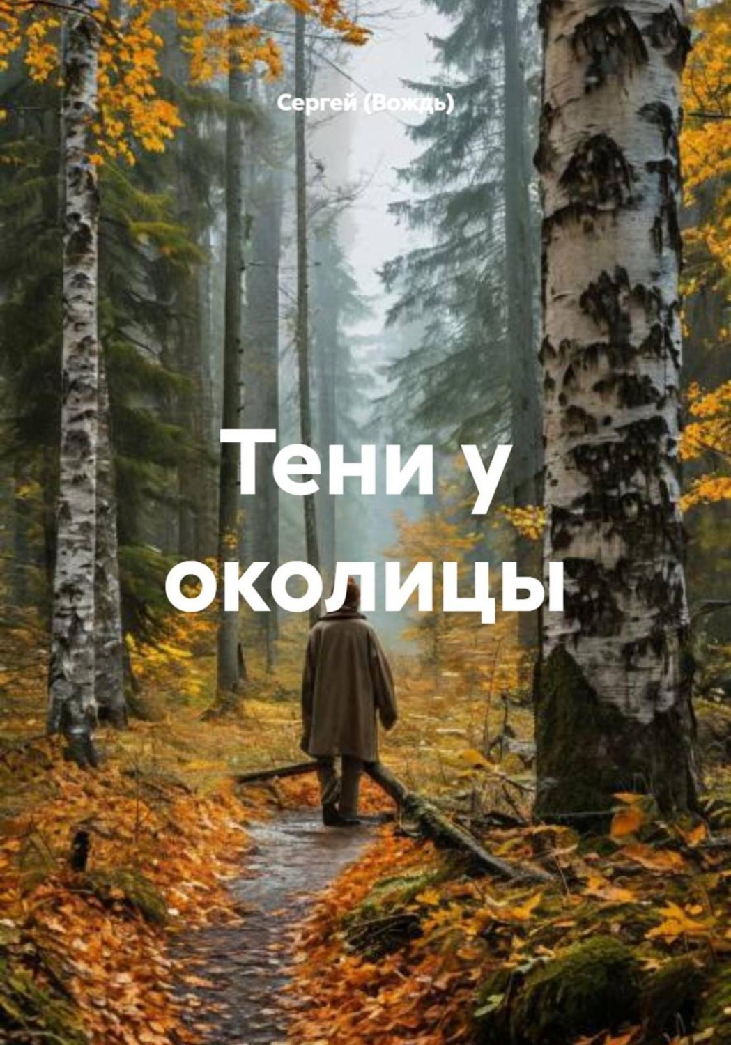 Обложка книги «Тени у околицы»