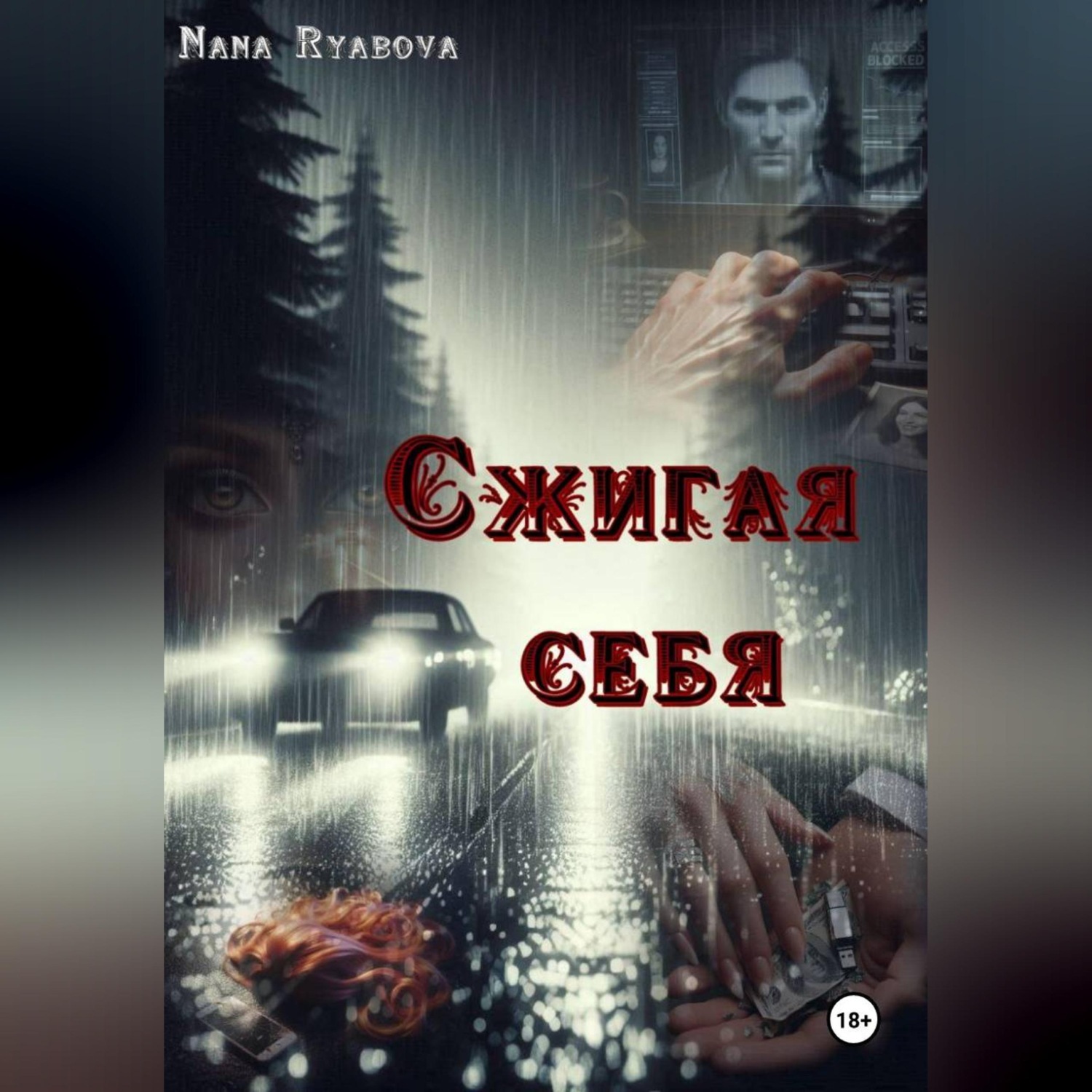 Обложка книги «Сжигая себя»