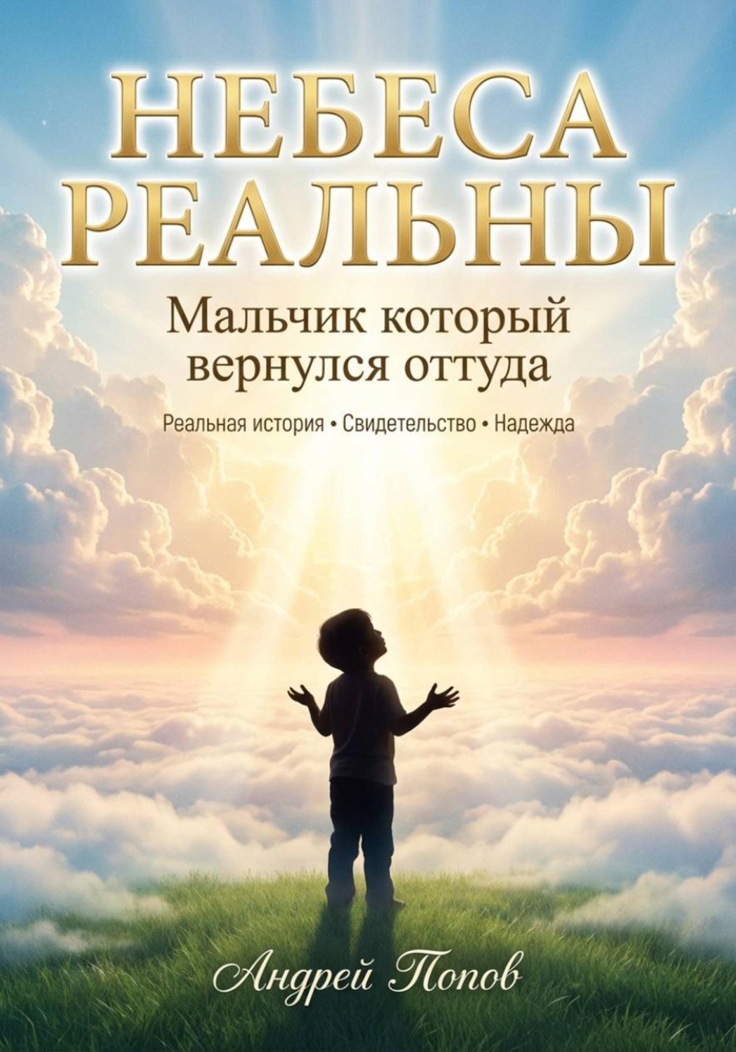 Обложка книги «Небеса Реальны. Мальчик который вернулся оттуда»