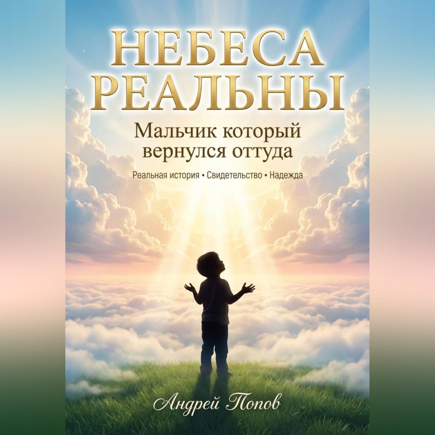 Обложка книги «Небеса Реальны. Мальчик который вернулся оттуда»
