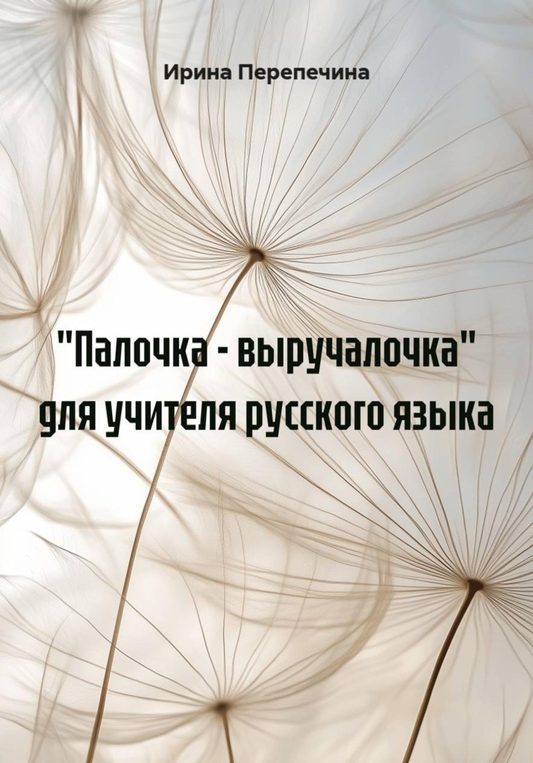 Обложка книги «"Палочка - выручалочка" для учителя русского языка»