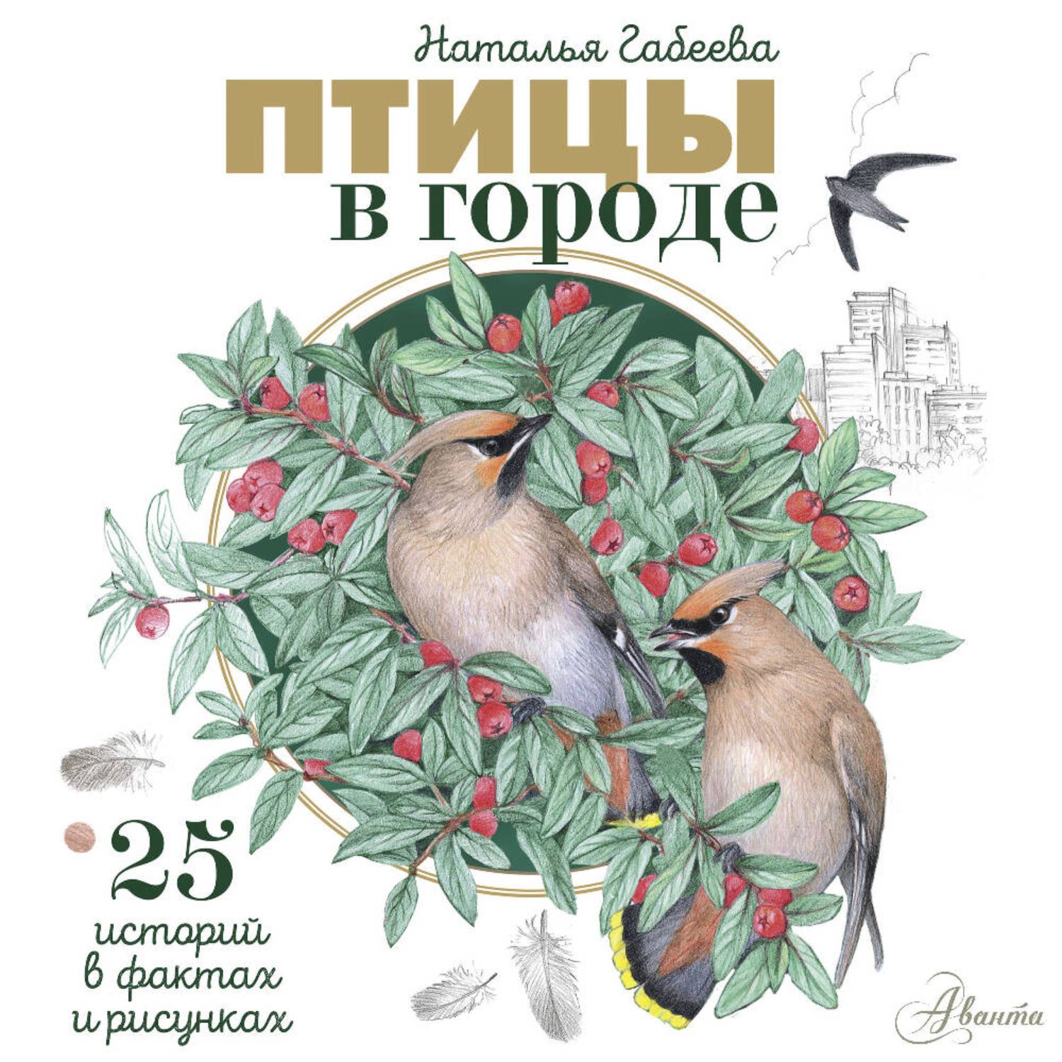 Обложка книги «Птицы в городе. 25 историй в фактах»