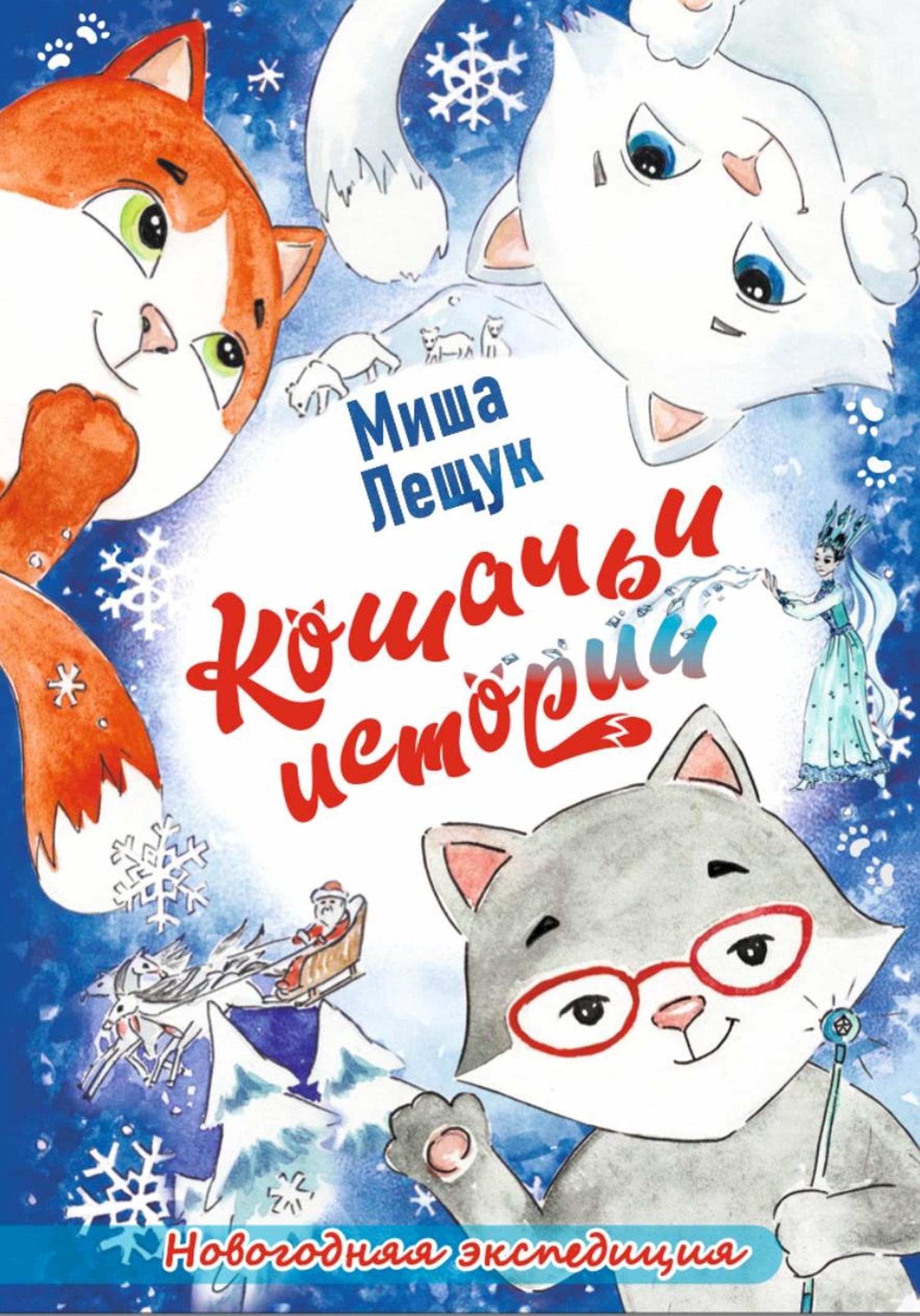 Обложка книги «Новогодняя экспедиция»