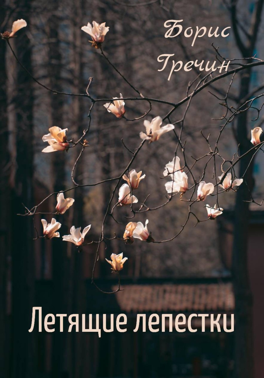 Обложка книги «Летящие лепестки»