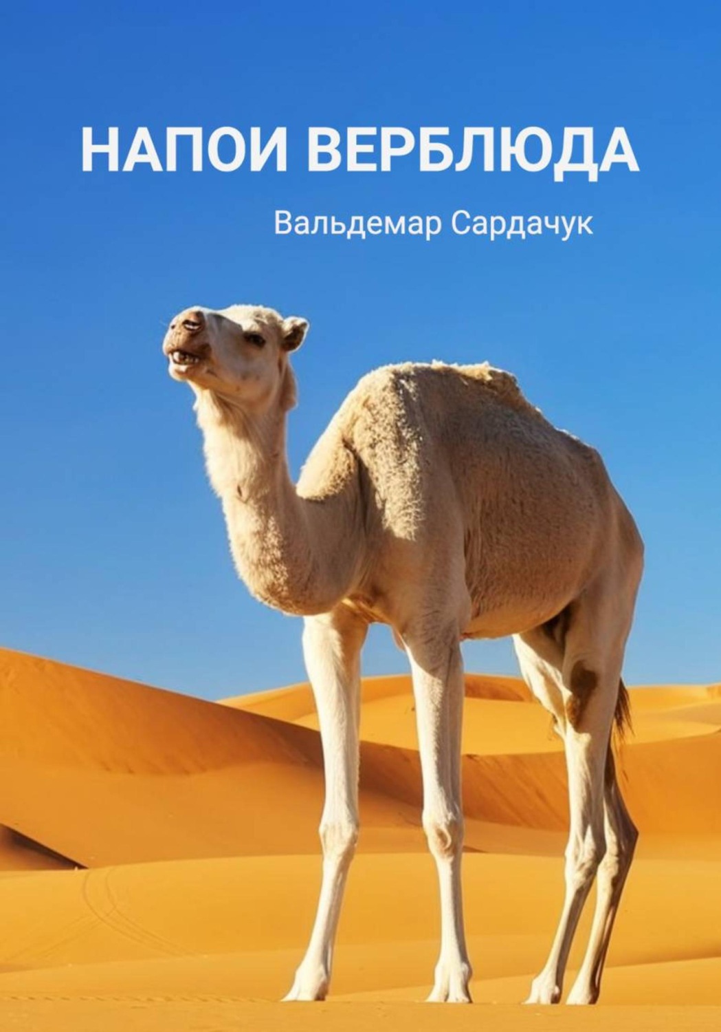 Обложка книги «Напои верблюда»