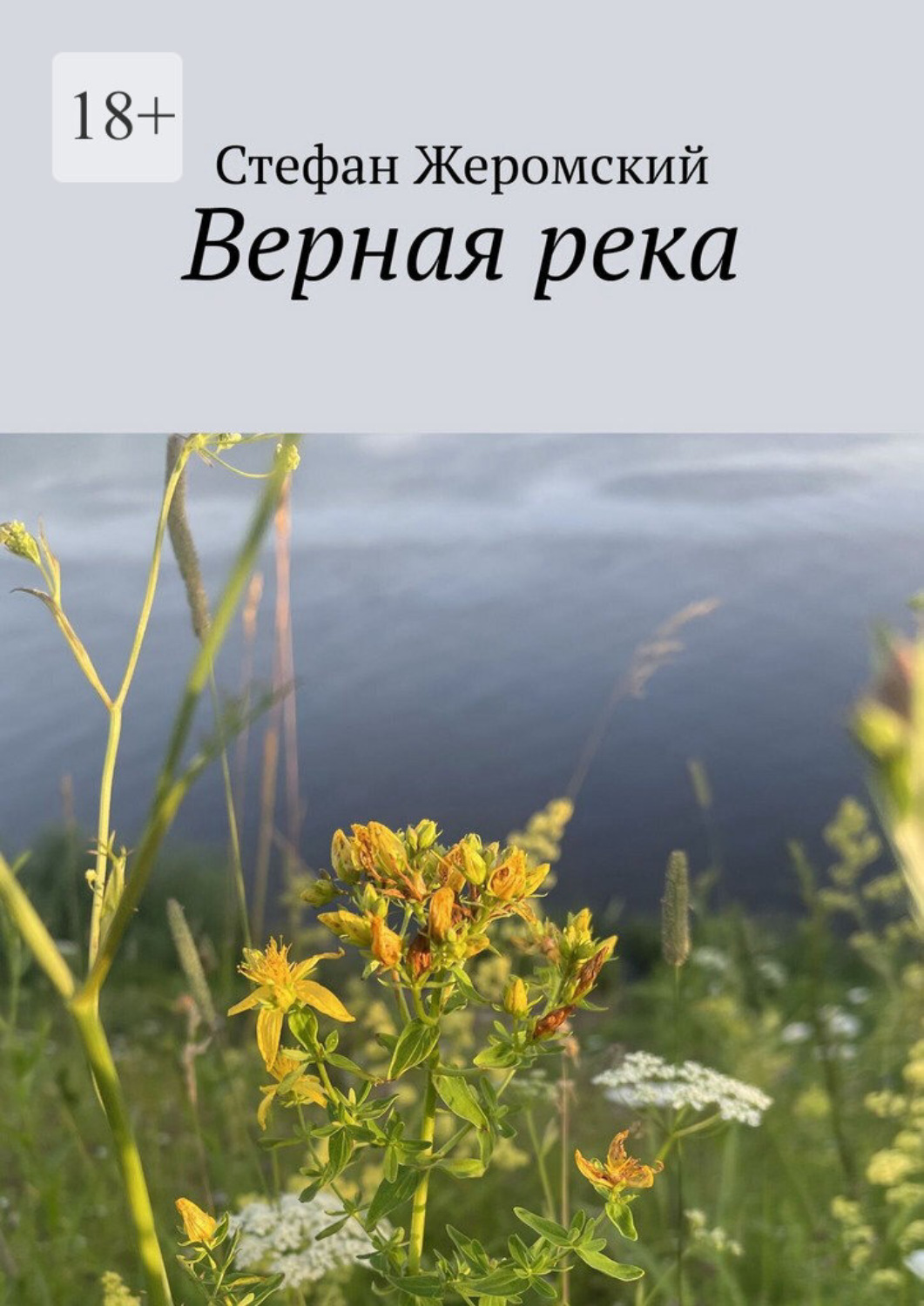 Обложка книги «Верная река»