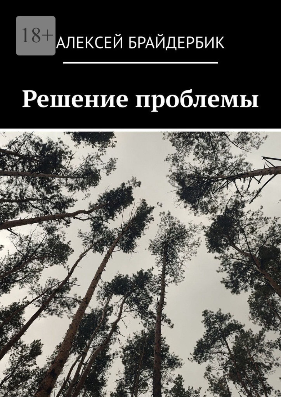 Обложка книги «Решение проблемы»
