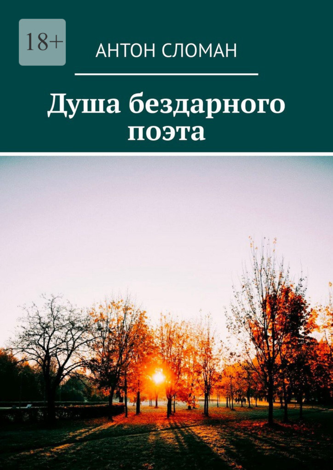 Обложка книги «Душа бездарного поэта»