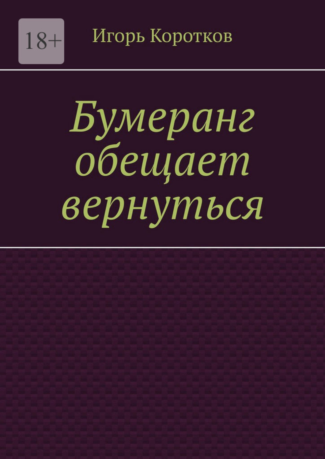 Обложка книги «Бумеранг обещает вернуться»