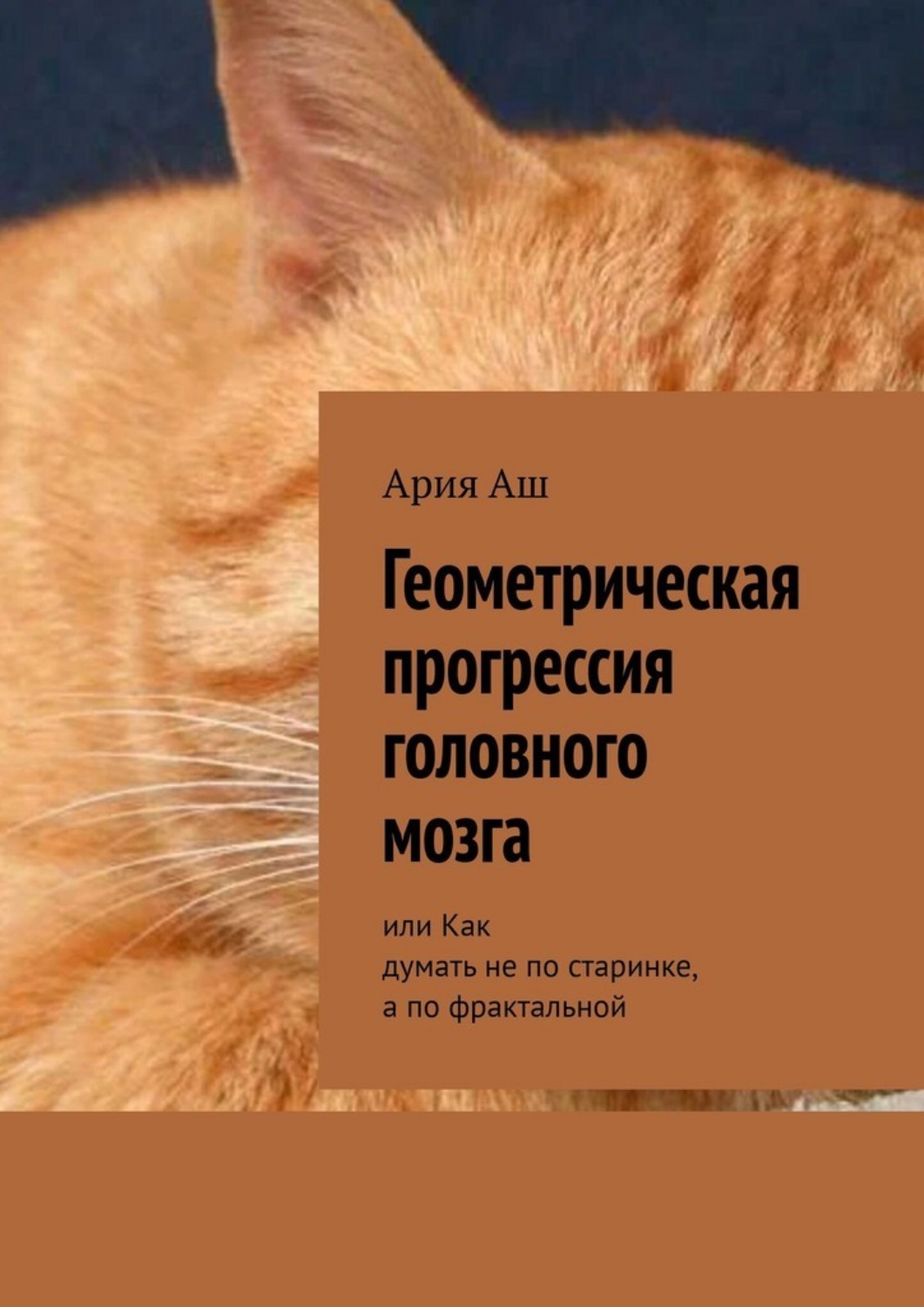 Обложка книги «Геометрическая прогрессия головного мозга. или Как думать не по старинке, а по фрактальной»