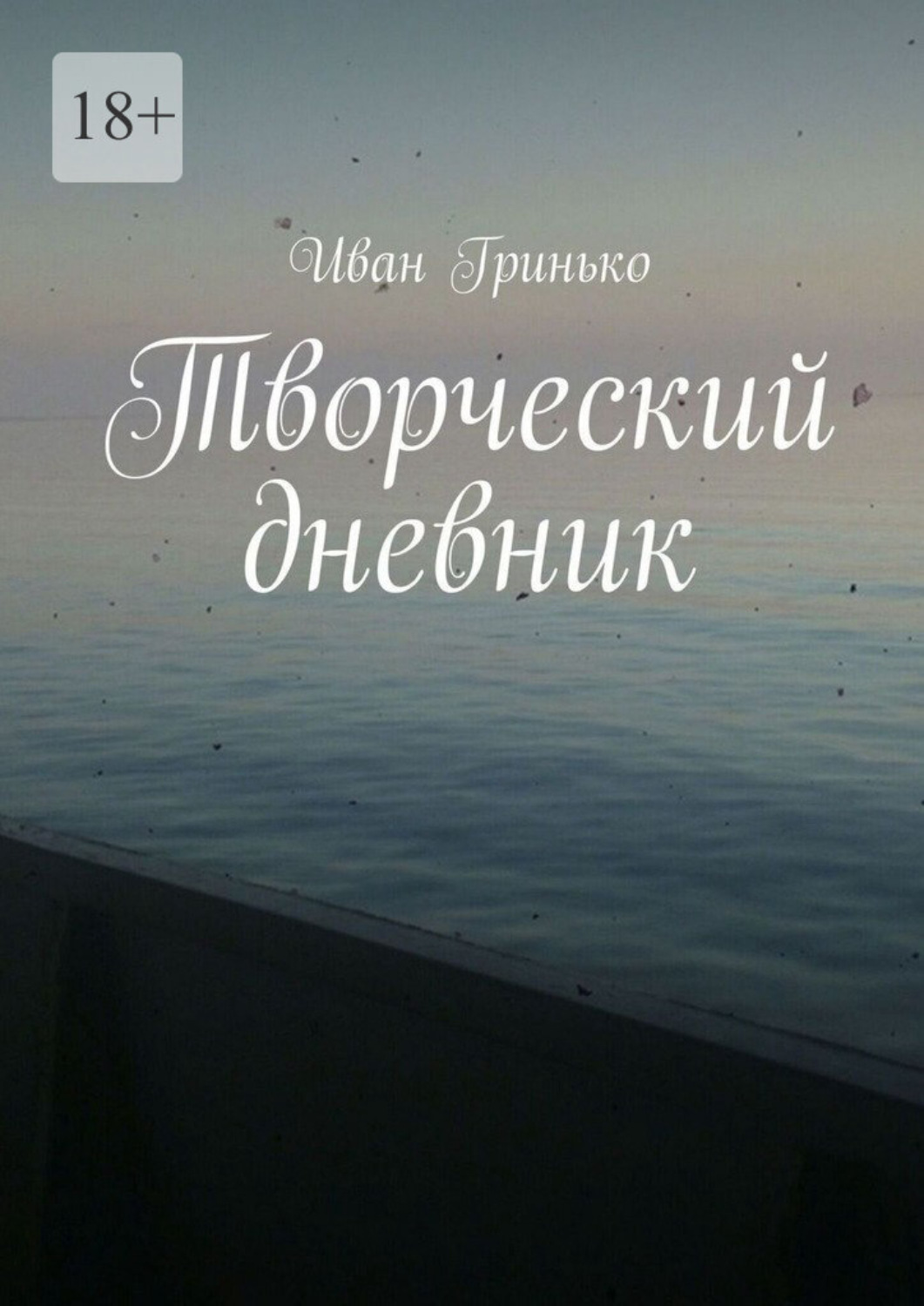 Обложка книги «Творческий дневник»