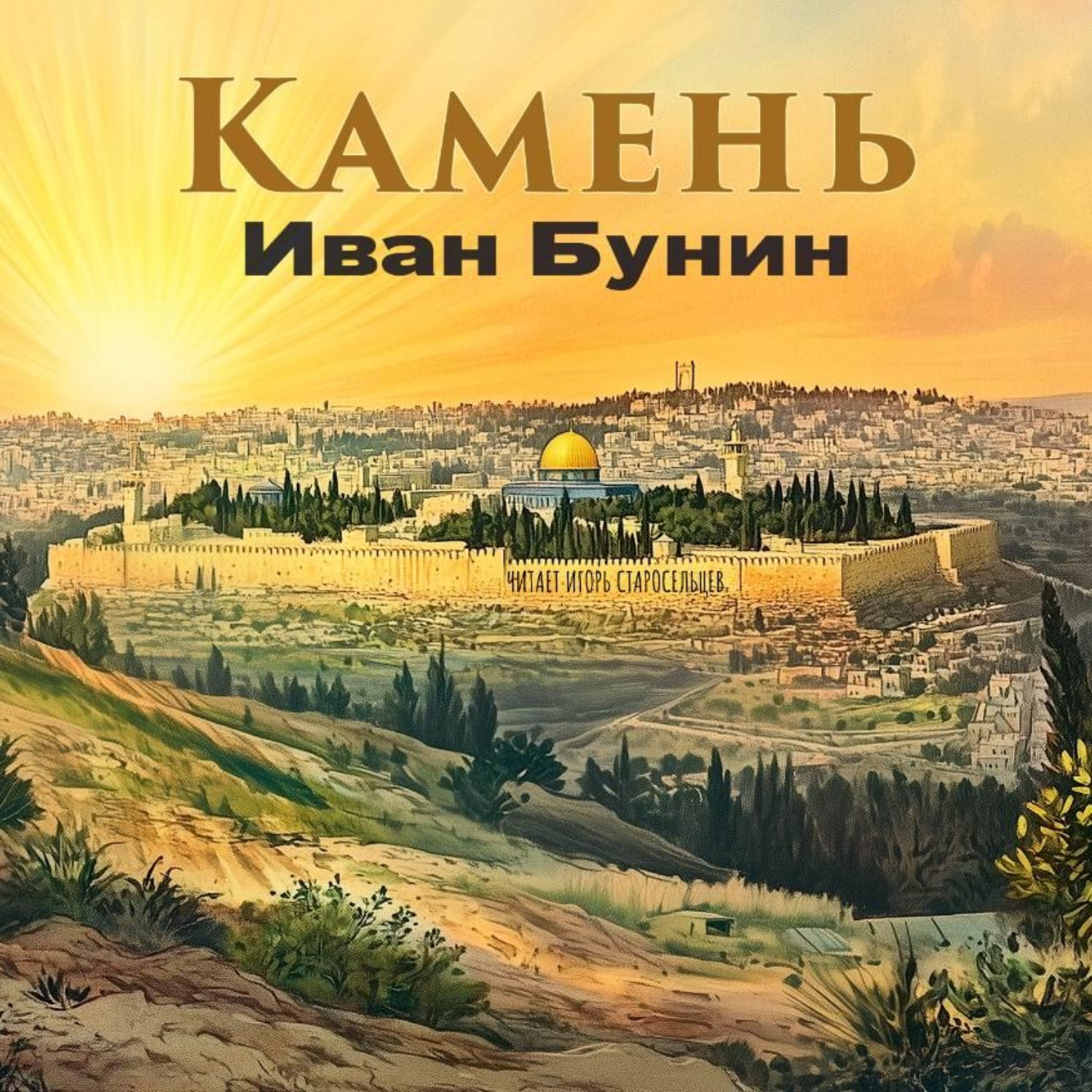 Обложка книги «Камень»