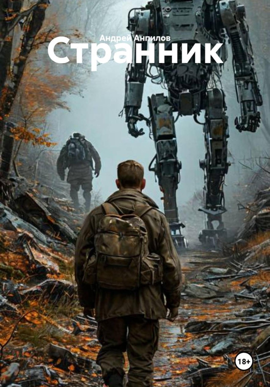 Обложка книги «Странник»