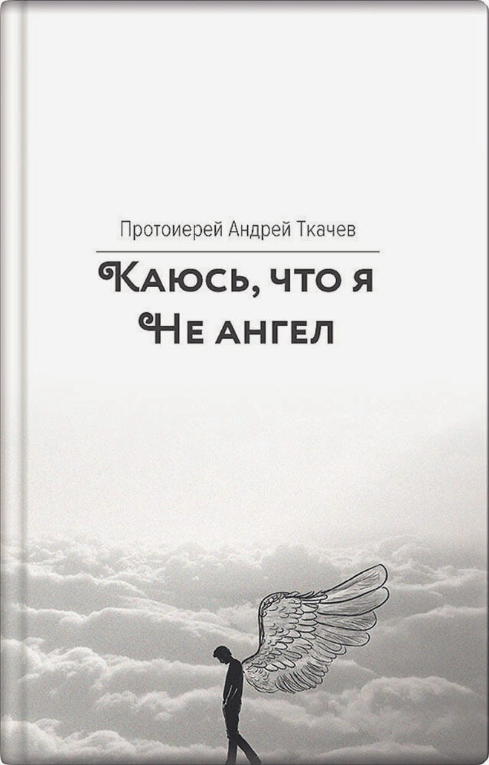 Обложка книги «Каюсь, что я не ангел»