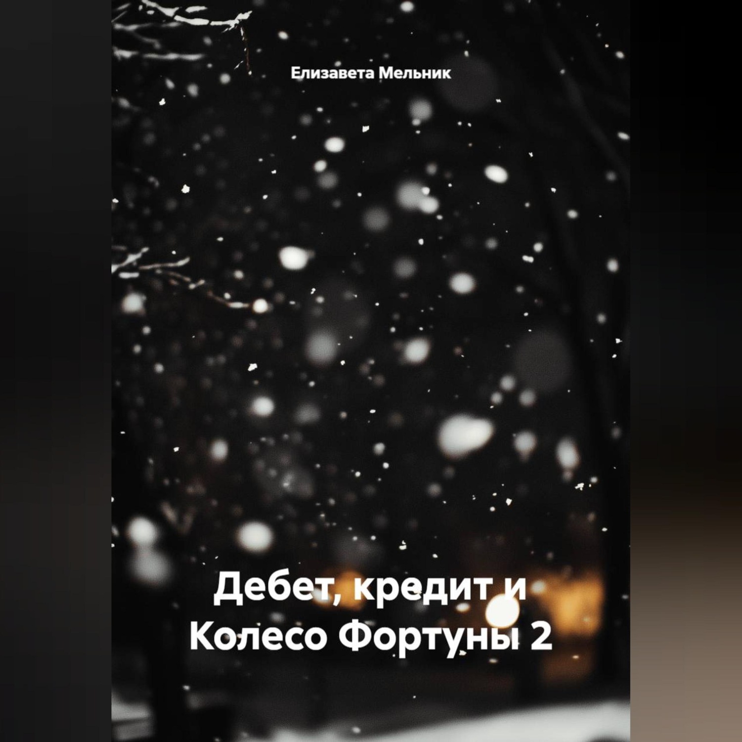 Обложка книги «Дебет, кредит и Колесо Фортуны 2»