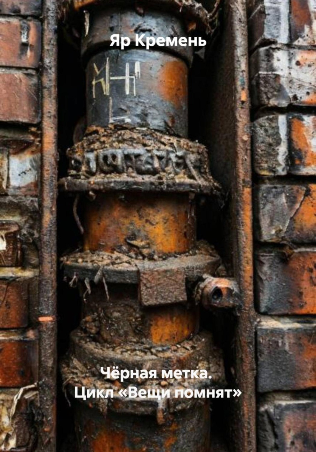 Обложка книги «Чёрная метка. Цикл «Вещи помнят»»