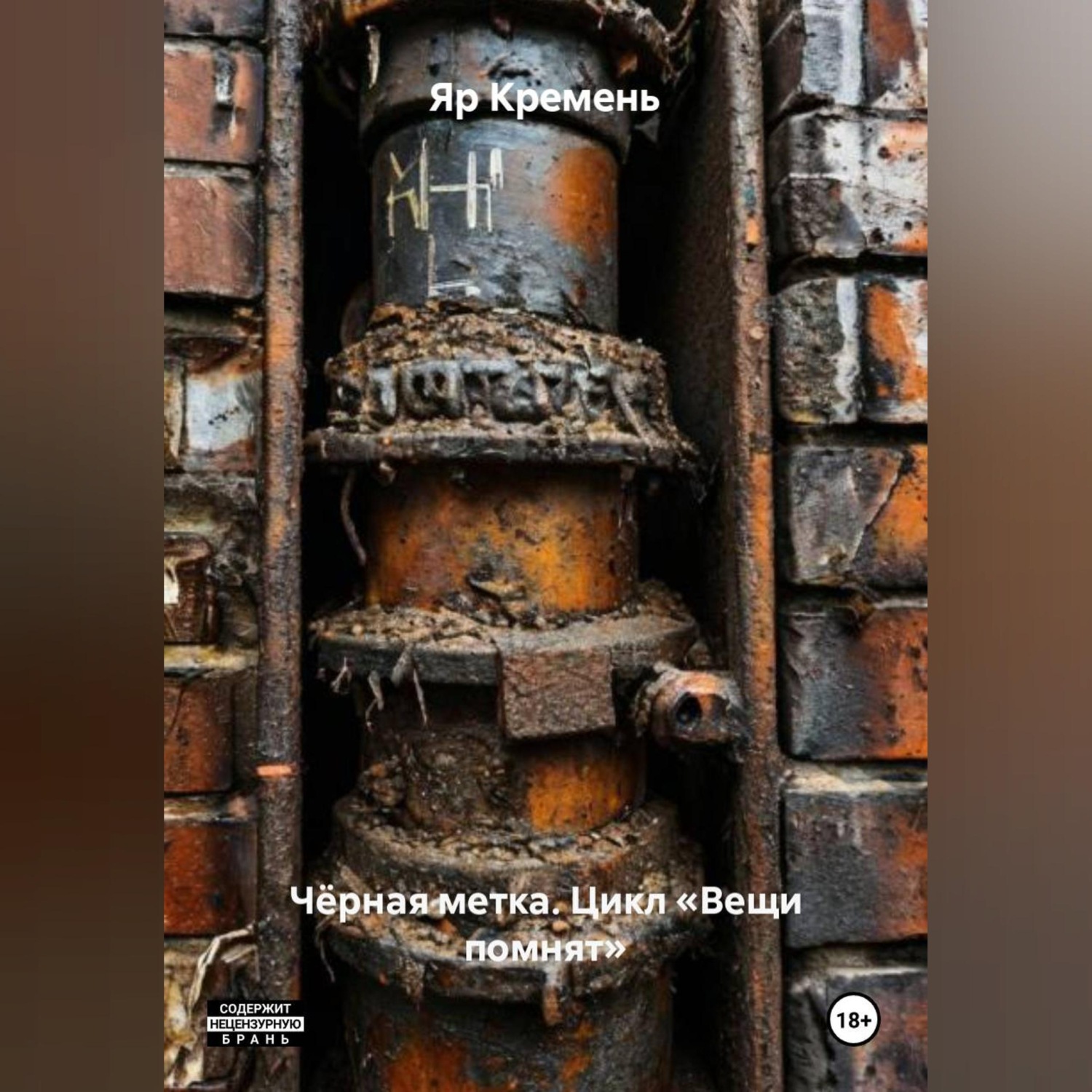 Обложка книги «ЧЁРНАЯ МЕТКА. Цикл «ВЕЩИ ПОМНЯТ».»