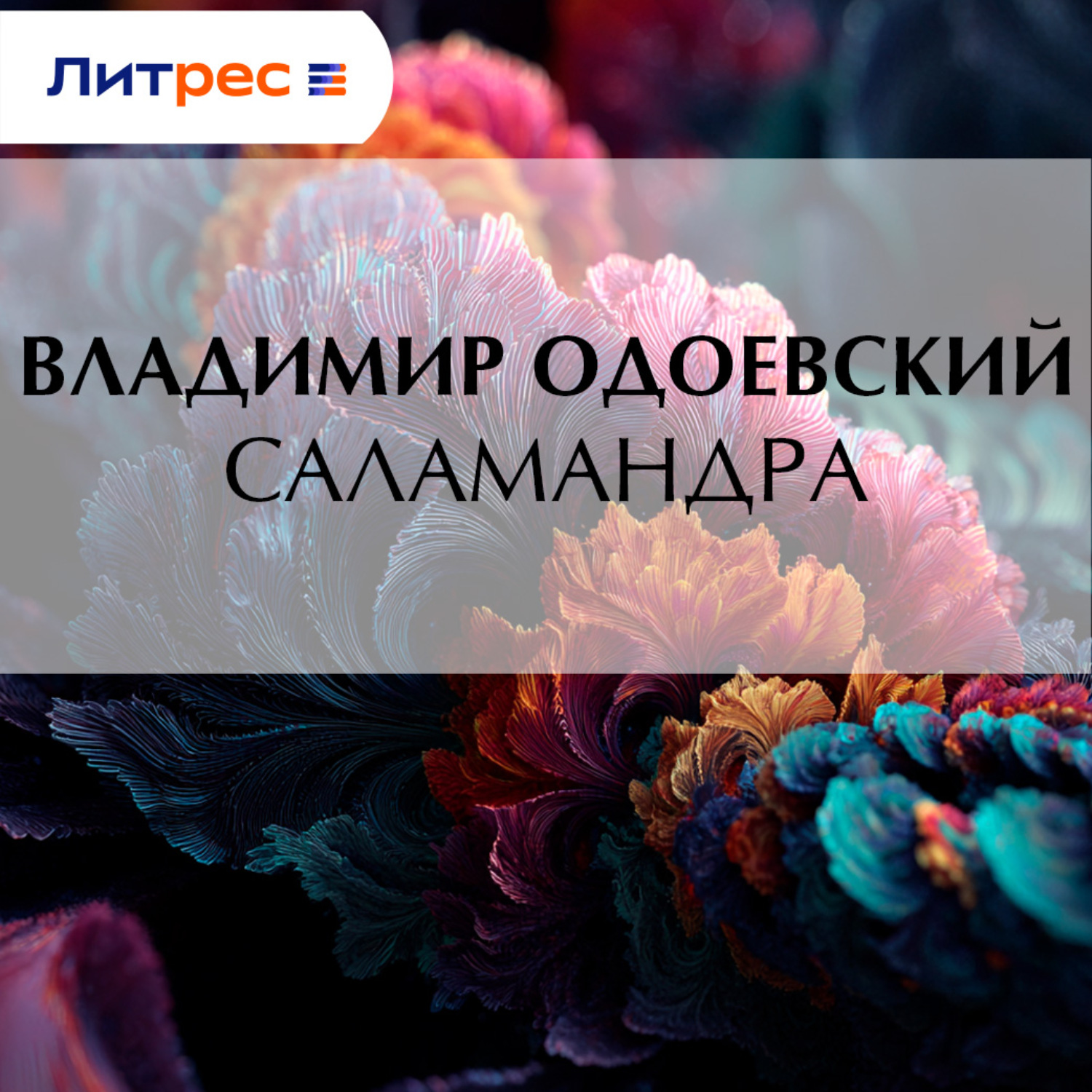 Обложка книги «Саламандра»