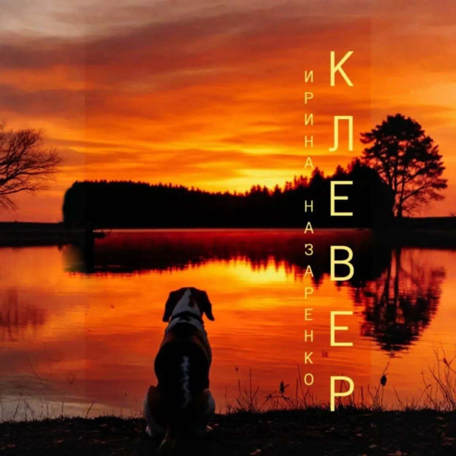 Обложка книги «Клевер»