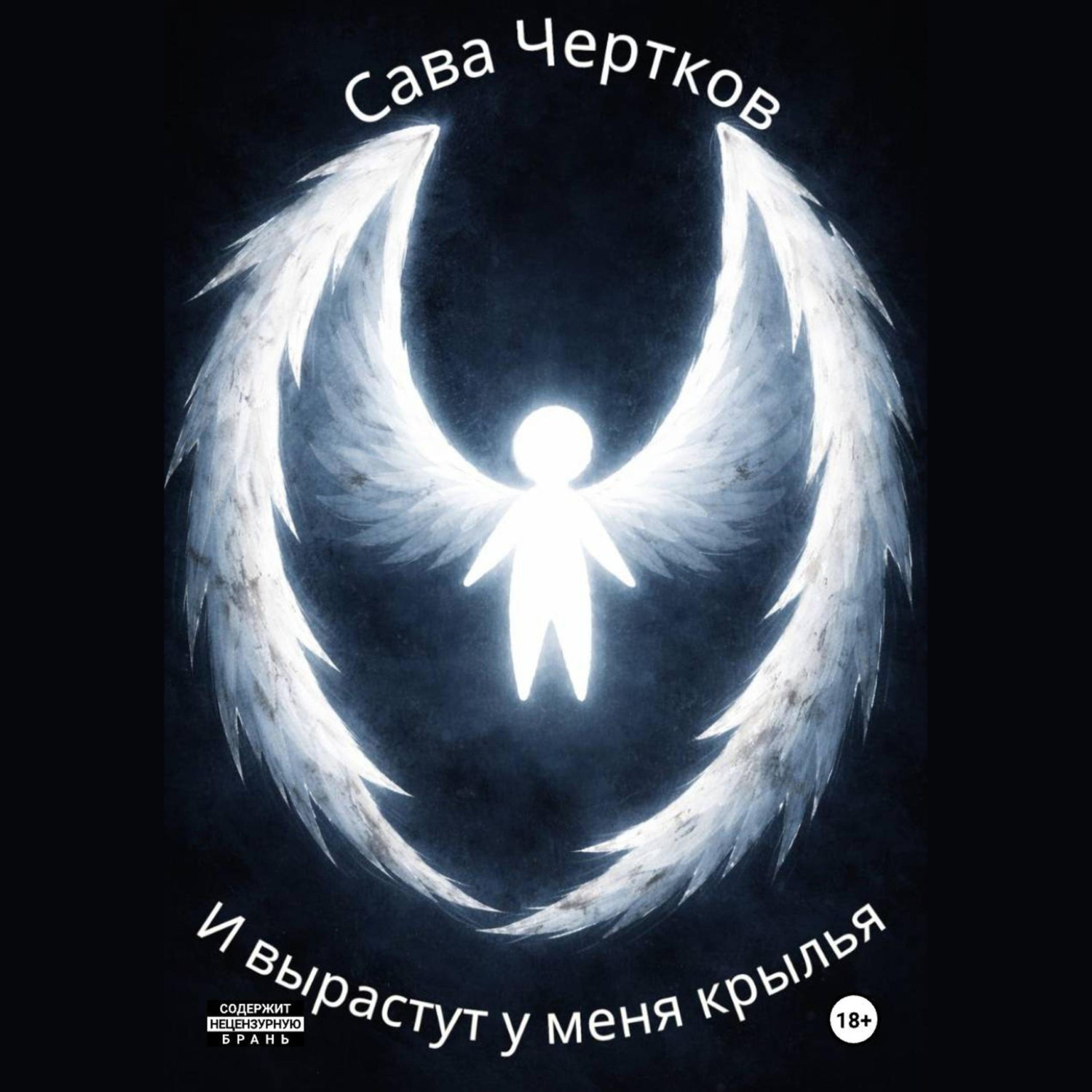 Обложка книги «И вырастут у меня крылья»